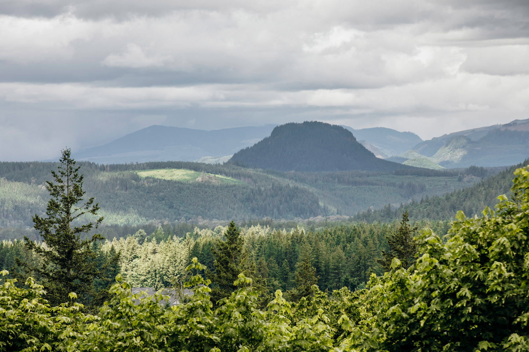 North Bend WA wedding by Snoqualmie Wedding Photographer James Thomas Long Photography