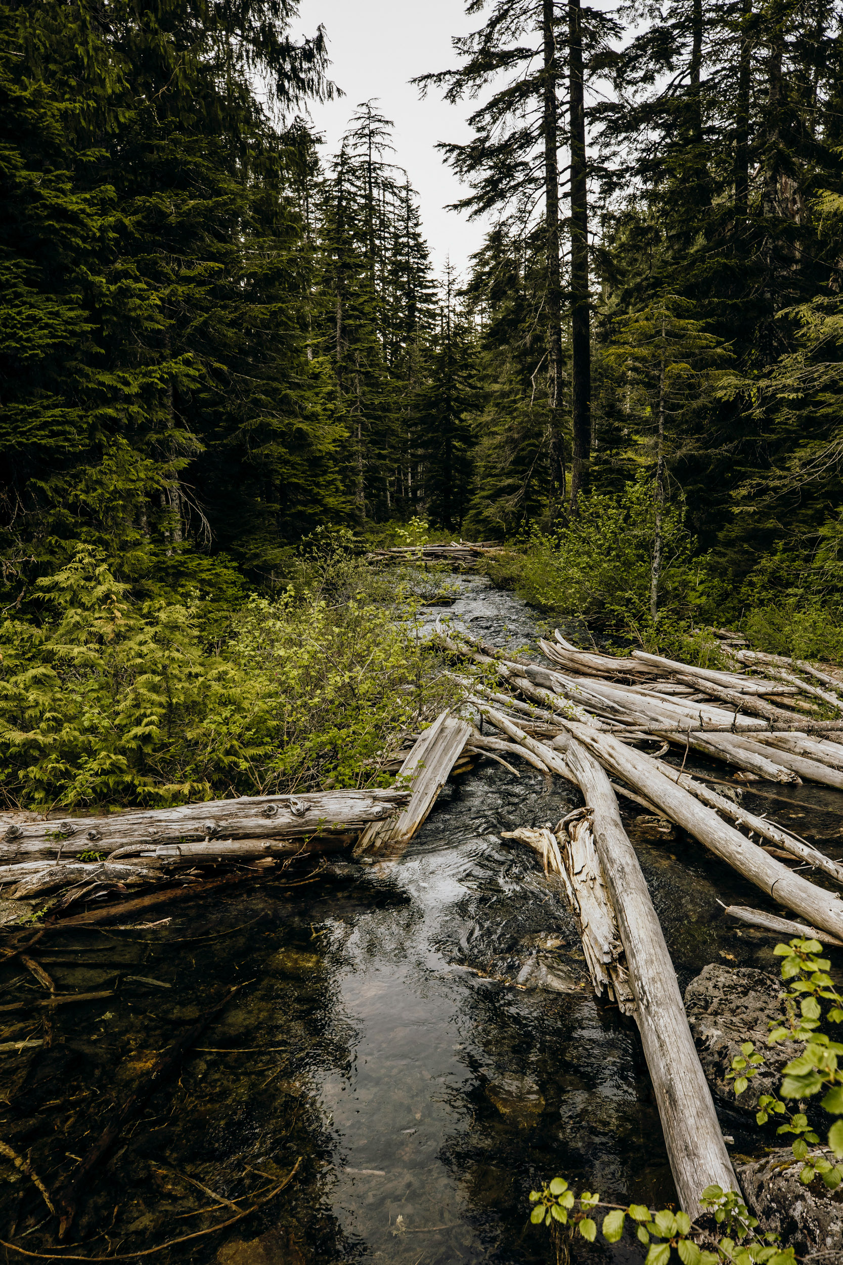 Cascade Mountain adventure engagement session by Seattle wedding photographer James Thomas Long Photography