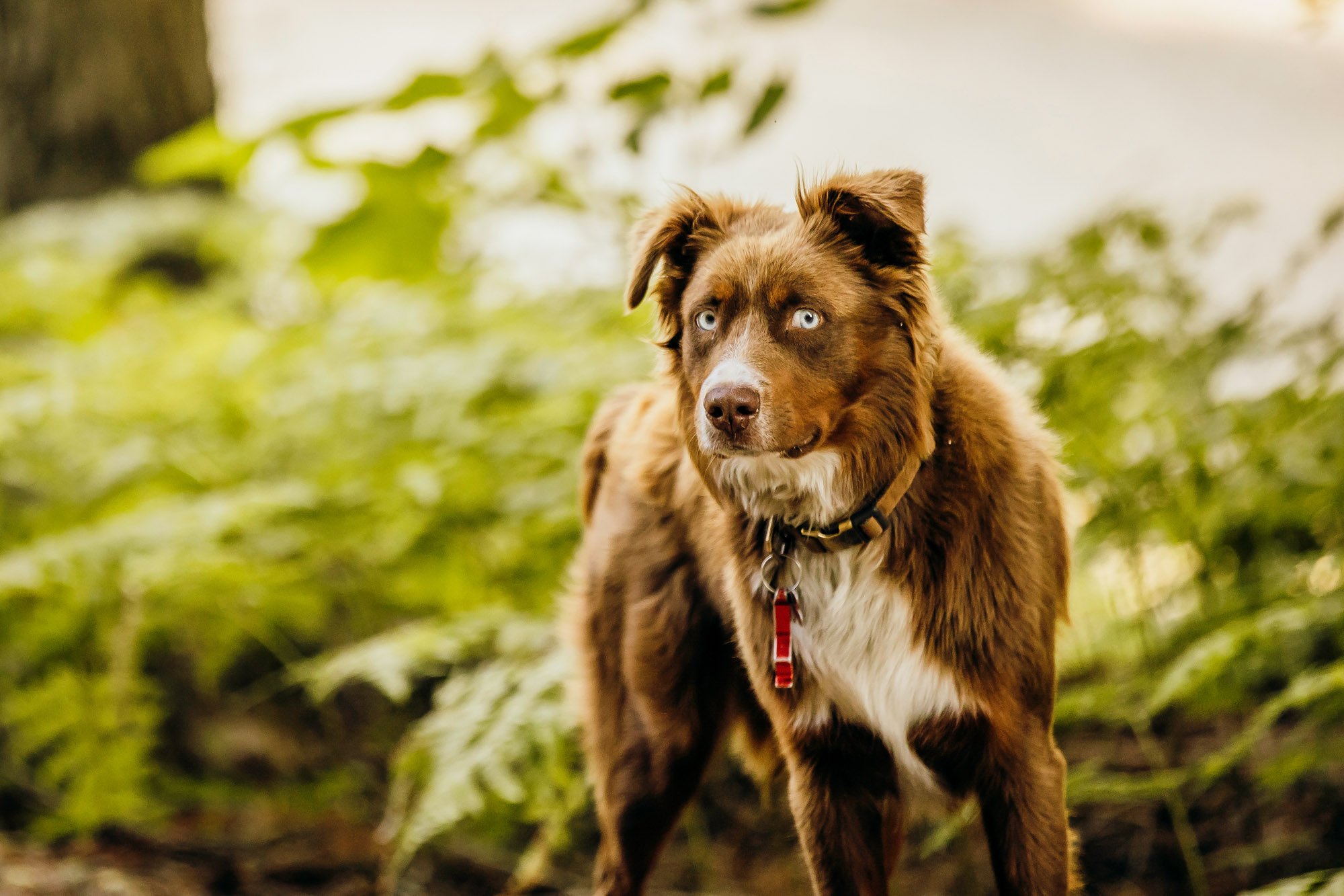 Snoqualmie Pass adventure engagement session by Snoqualmie wedding photographer James Thomas Long Photography