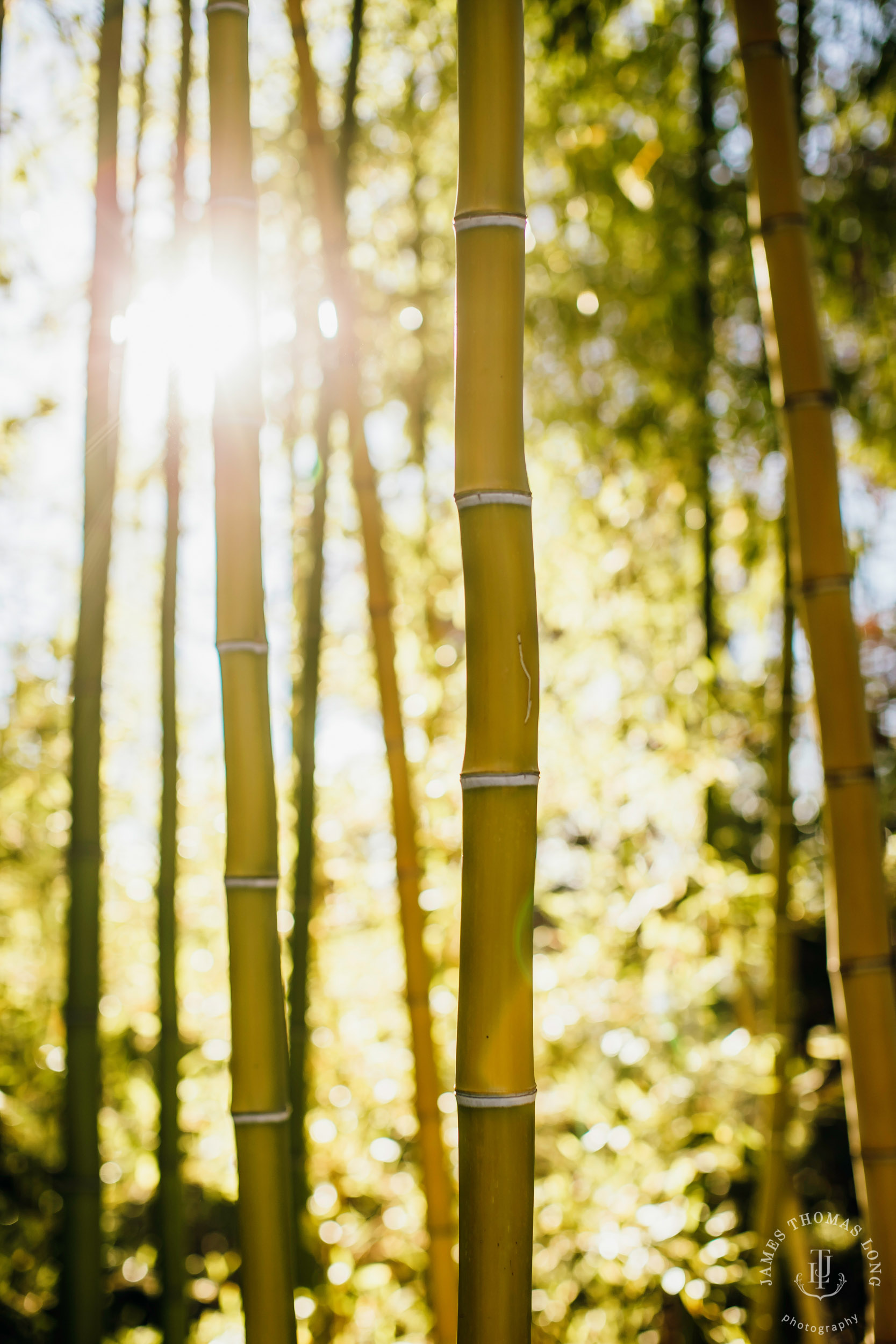 Seattle Destination Wedding Photographer James Thomas Long Photography