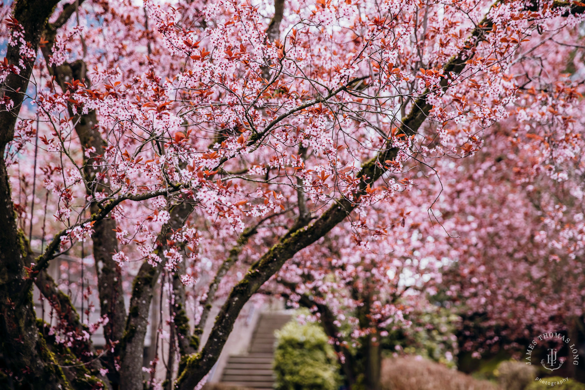 Woodmark Hotel Kirkland wedding by Seattle wedding photographer James Thomas Long Photography