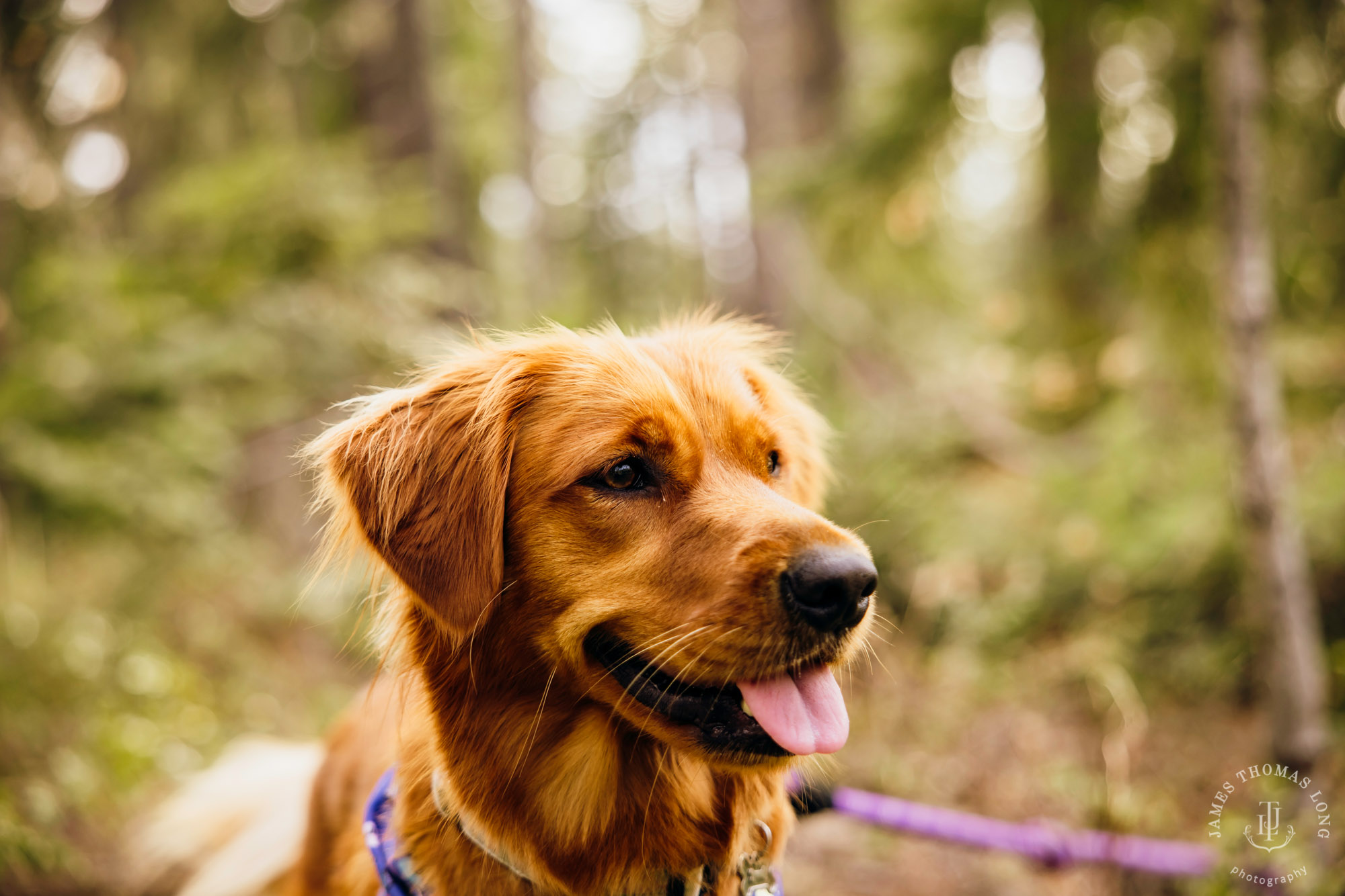 Seattle Cascade Mountain adventure engagement session by Seattle adventure elopement photographer James Thomas Long Photography