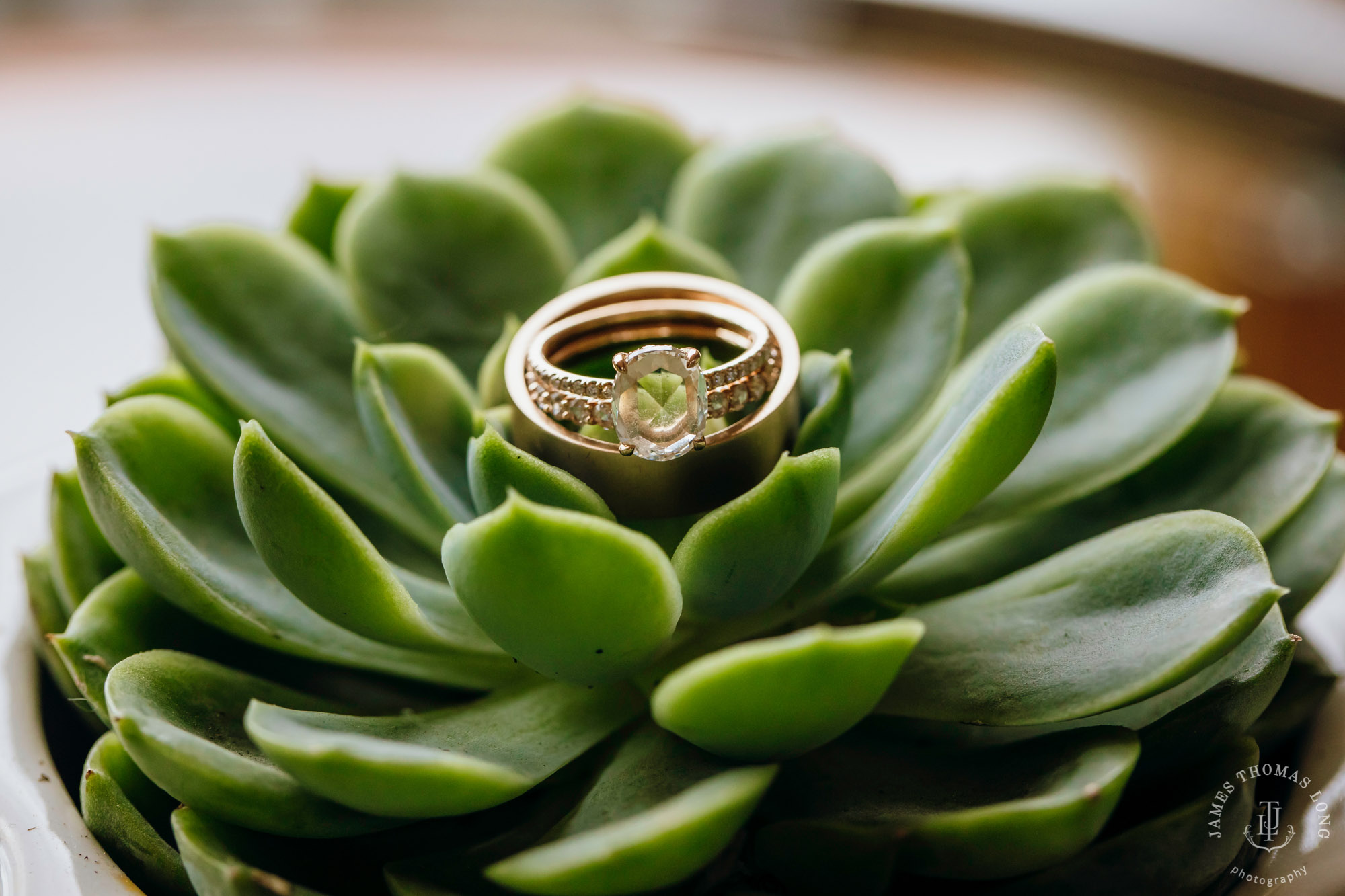 Tsillan Cellars Lake Chelan wedding by Seattle wedding photographer James Thomas Long Photography