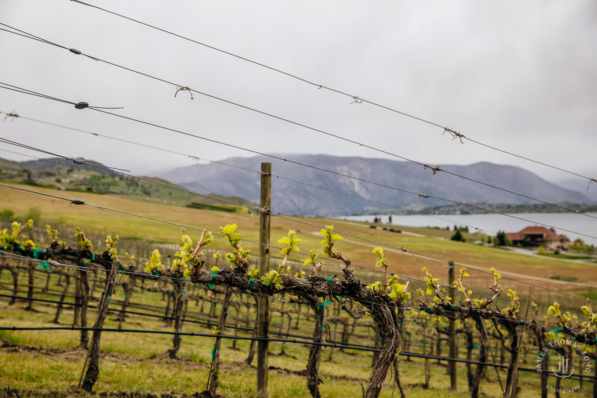 Tsillan Cellars Lake Chelan wedding by Seattle wedding photographer James Thomas Long Photography