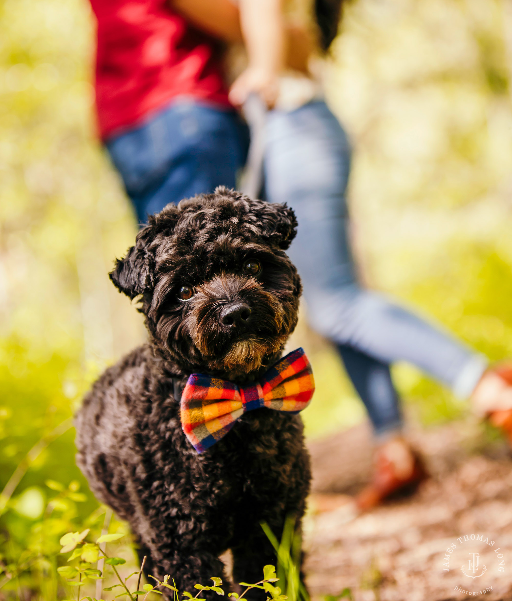 Adventure engagement session at Snoqualmie Pass by adventure wedding photographer James Thomas Long Photography