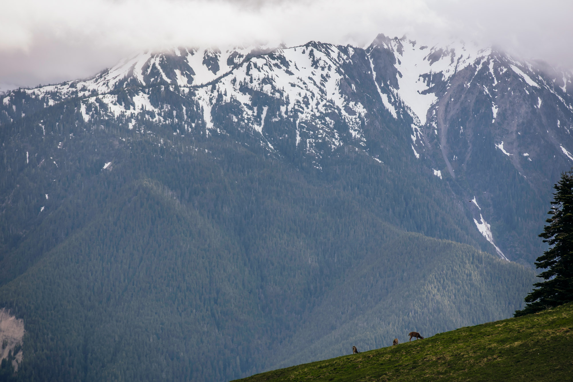 Pacific Northwest mountain engagement session by Seattle adventure elopement photographer James Thomas Long Photography