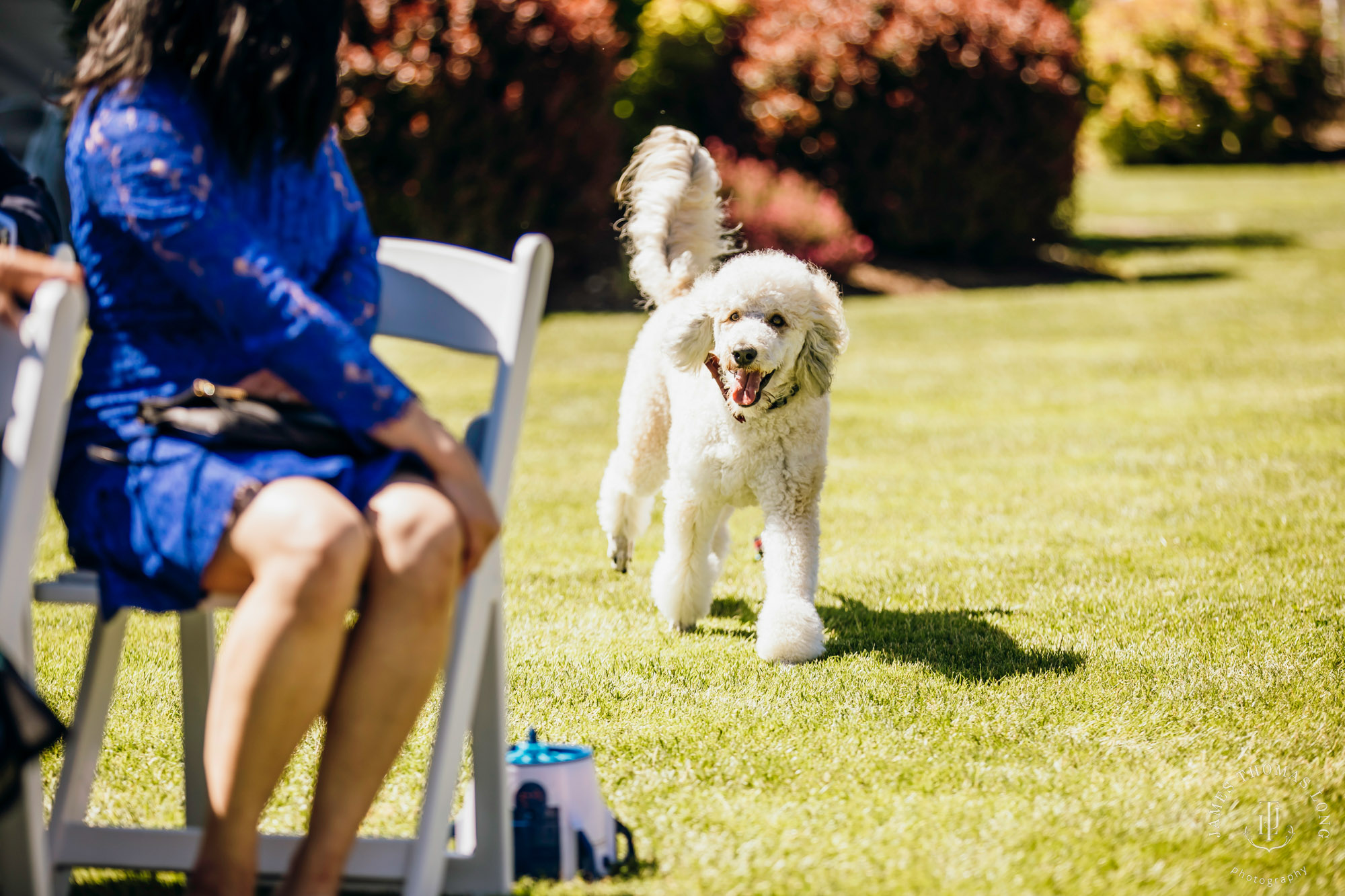 Mountain View Manor Enumclaw Mount Rainier wedding by Seattle wedding photographer James Thomas Long Photography