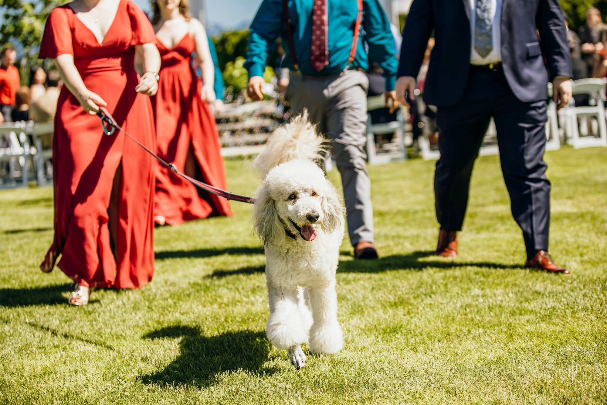 Mountain View Manor Enumclaw Mount Rainier wedding by Seattle wedding photographer James Thomas Long Photography