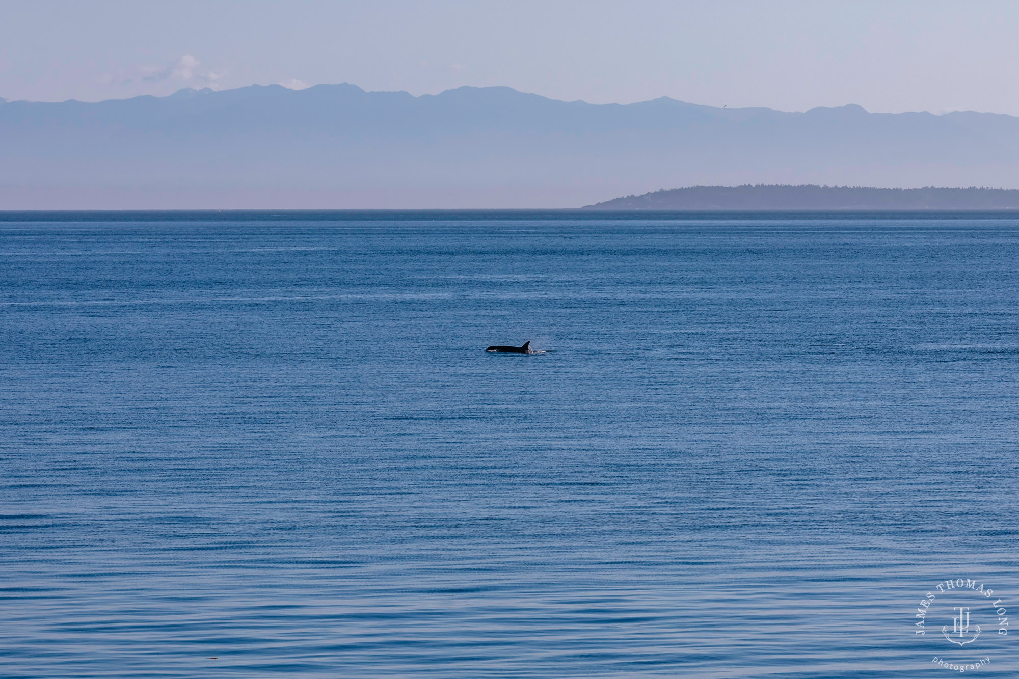 San Juan Island wedding by Seattle wedding photographer James Thomas Long Photography