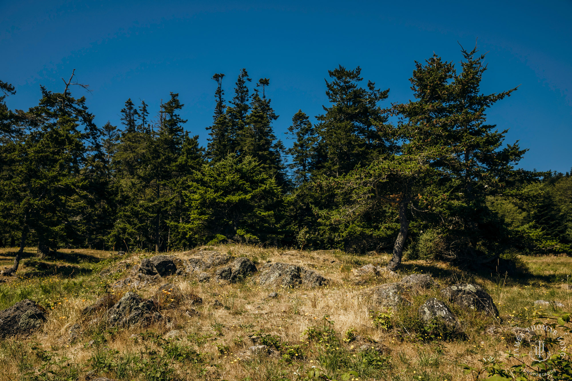 San Juan Island wedding by Seattle wedding photographer James Thomas Long Photography