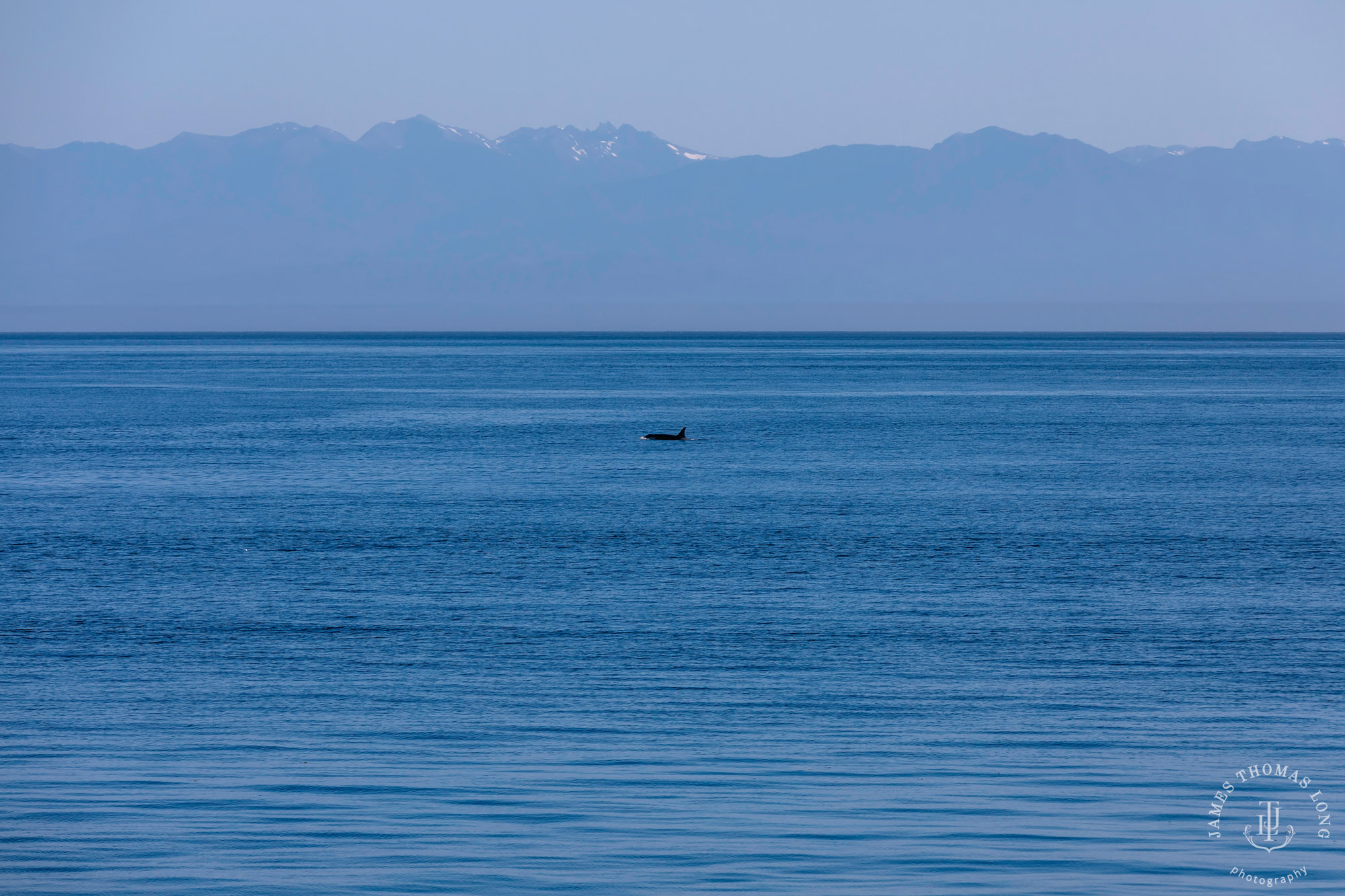 San Juan Island wedding by Seattle wedding photographer James Thomas Long Photography