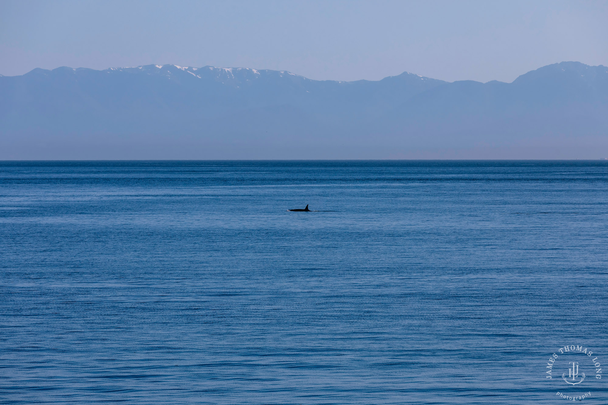 San Juan Island wedding by Seattle wedding photographer James Thomas Long Photography