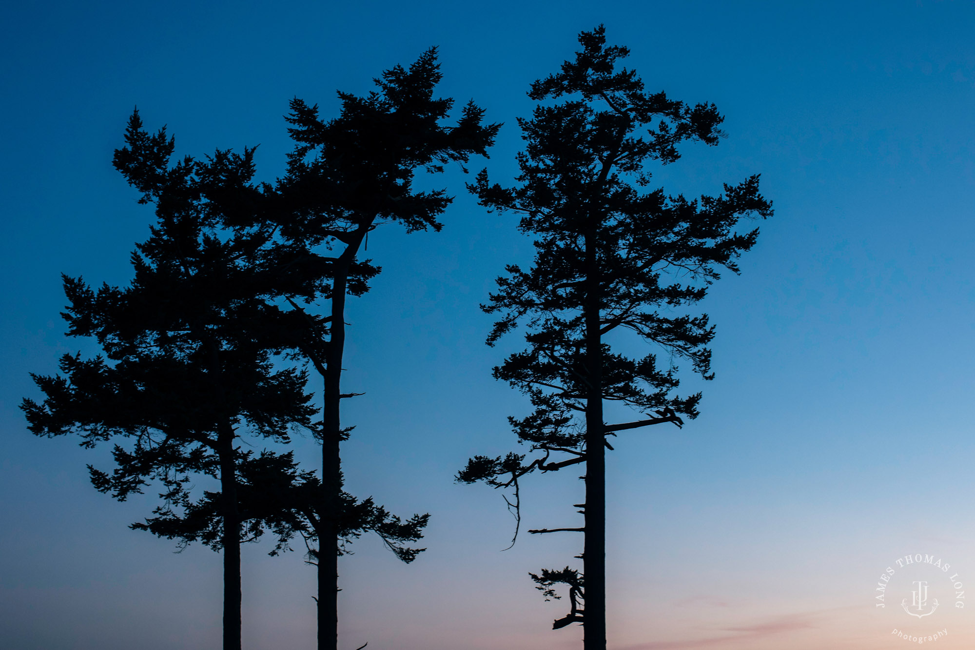 San Juan Island wedding by Seattle wedding photographer James Thomas Long Photography