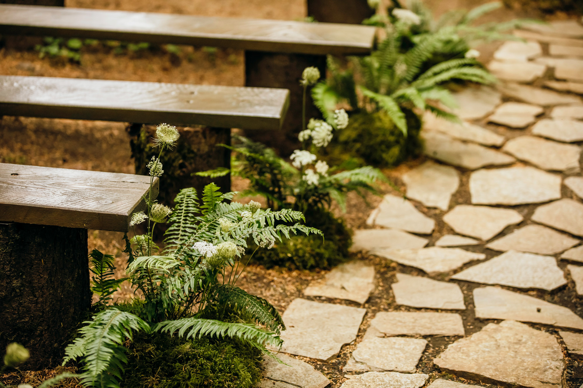 Fern Acres Forks WA wedding by Seattle wedding photographer James Thomas Long Photography