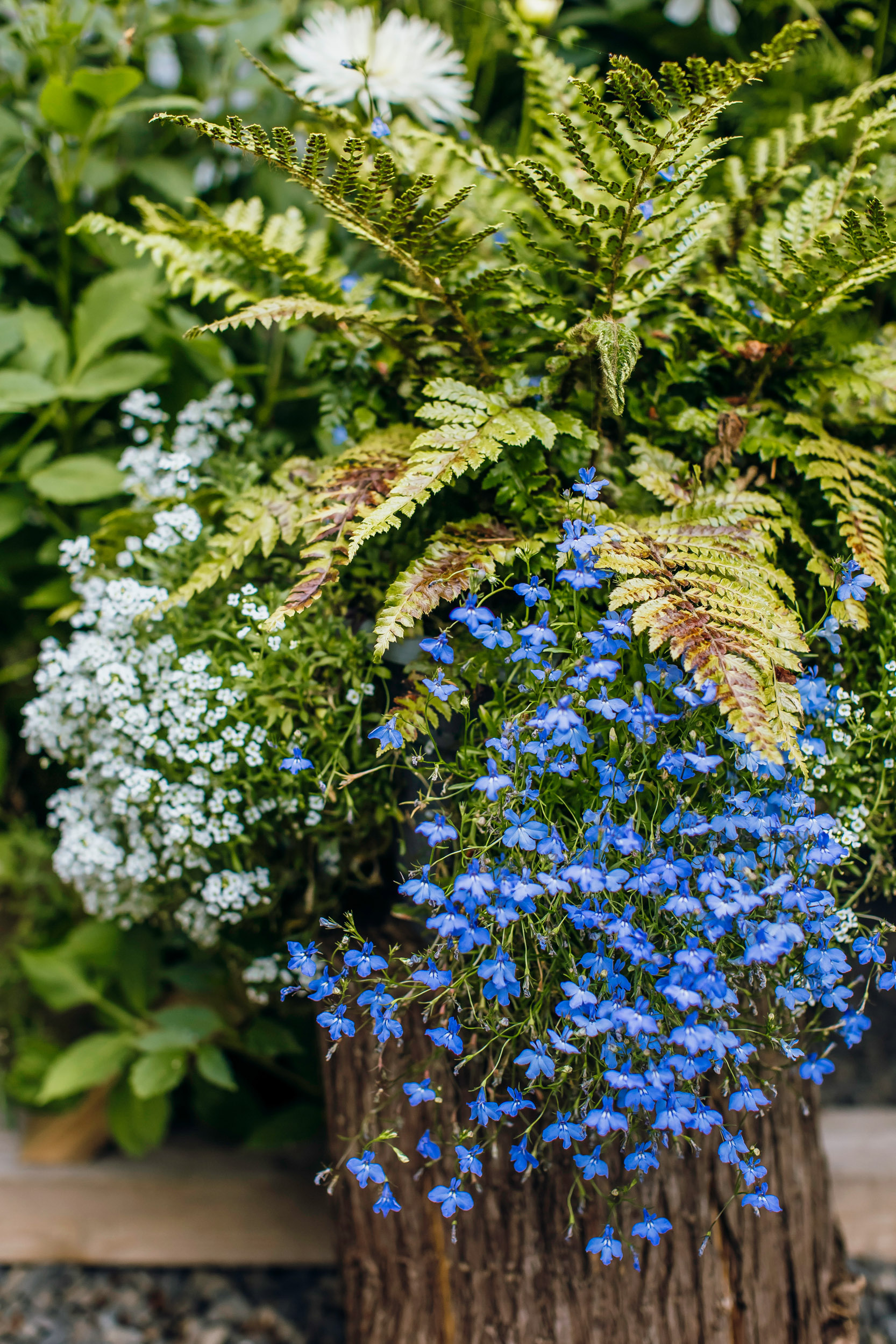 Fern Acres Forks WA wedding by Seattle wedding photographer James Thomas Long Photography