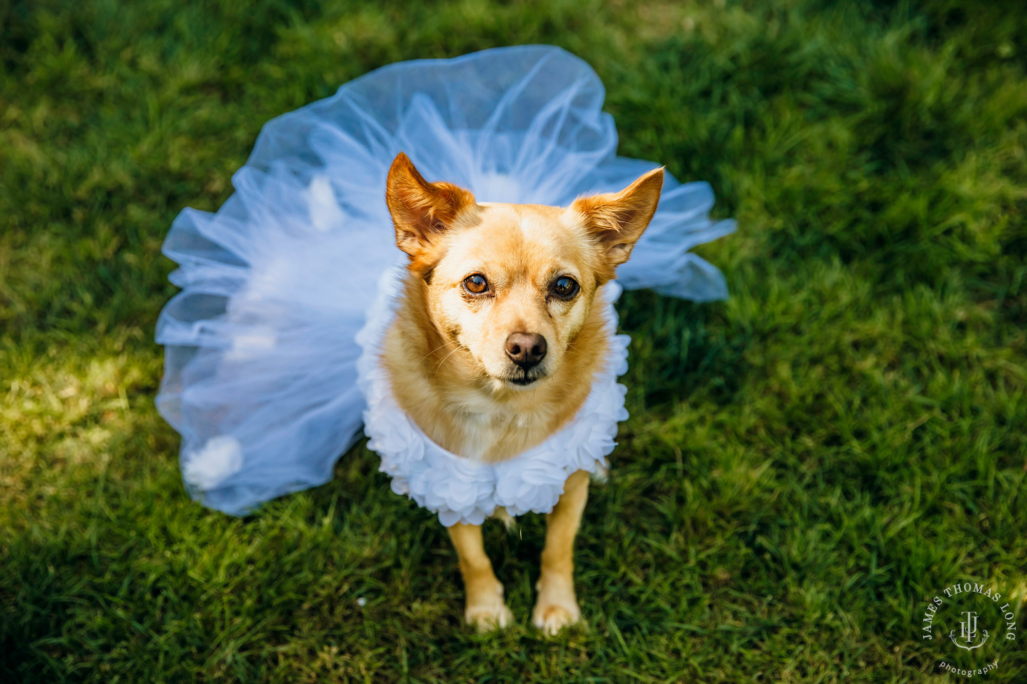 Evergreen Meadows Snoqualmie WA wedding by Snoqualmie wedding photographer James Thomas Long Photography