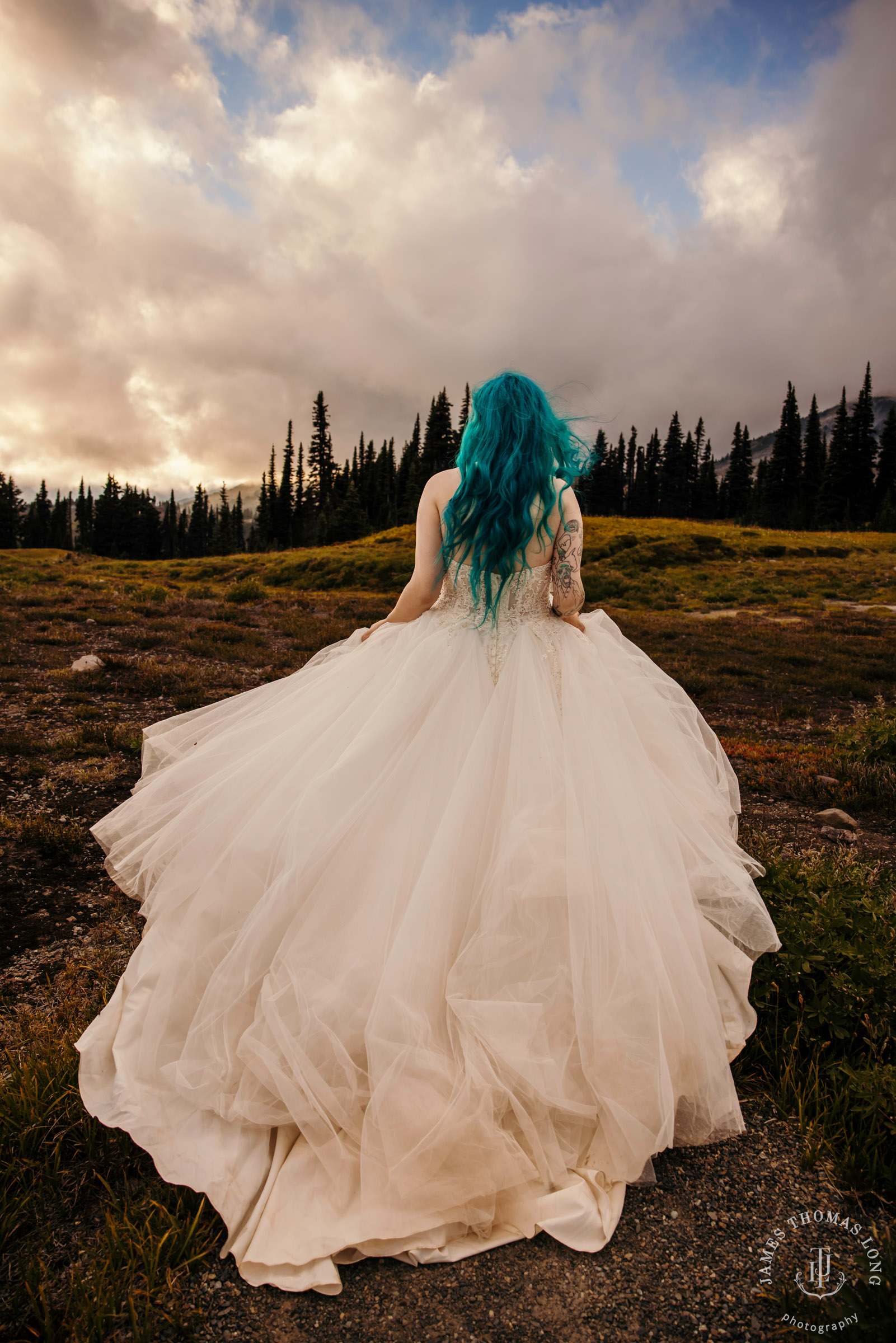 Mount Rainier post wedding session by Seattle wedding photographer James Thomas Long Photography