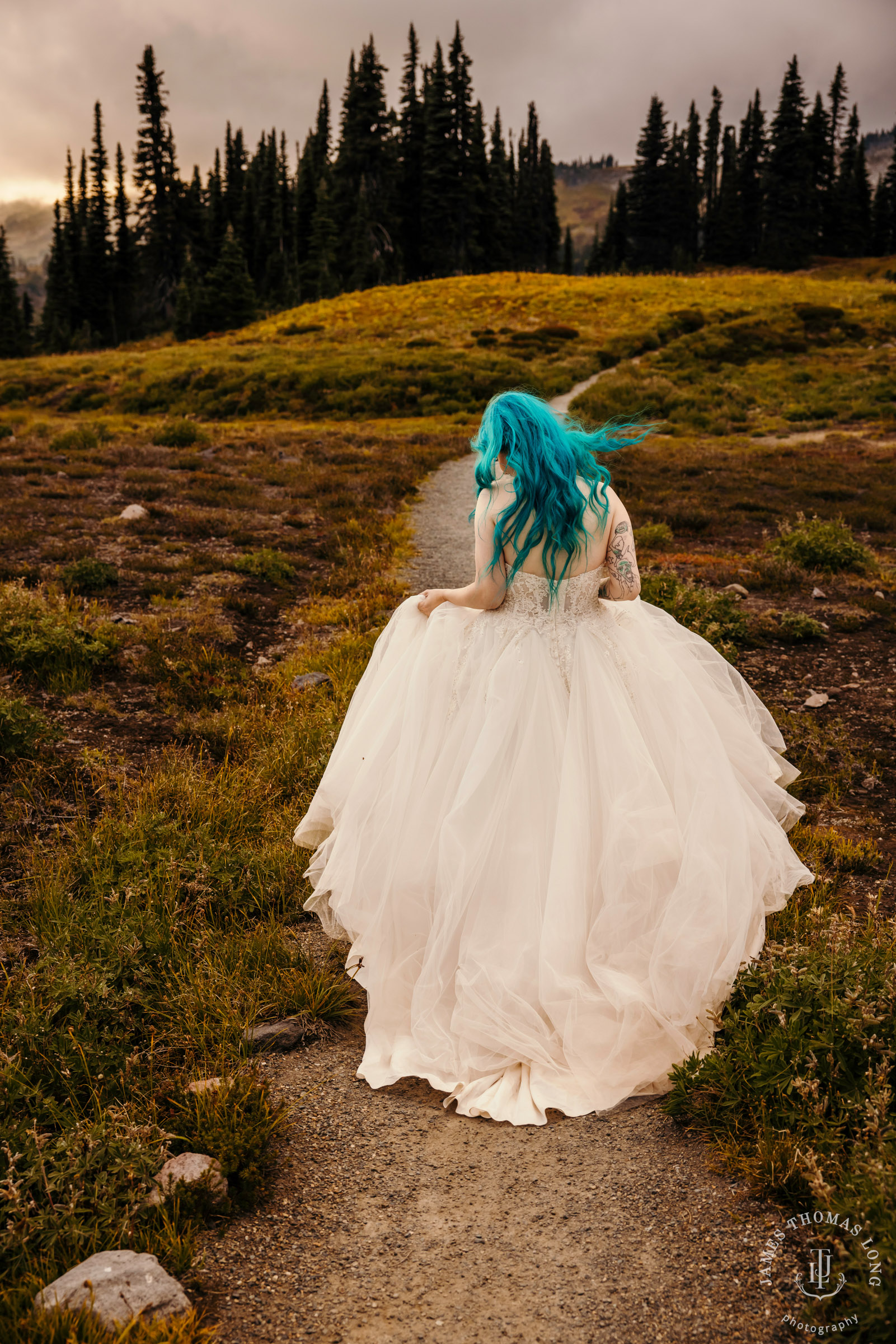 Mount Rainier post wedding session by Seattle wedding photographer James Thomas Long Photography