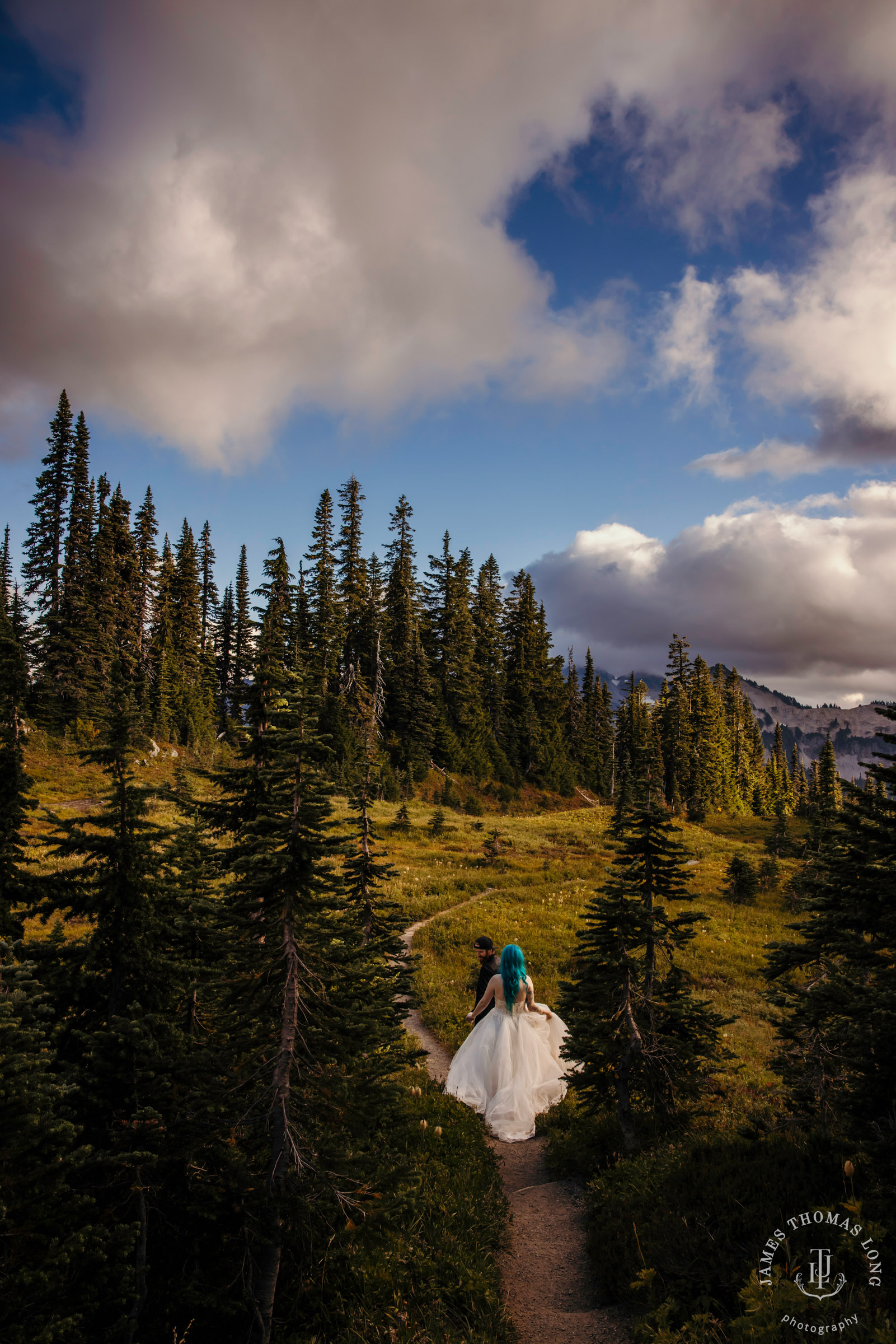 Mount Rainier post wedding session by Seattle wedding photographer James Thomas Long Photography