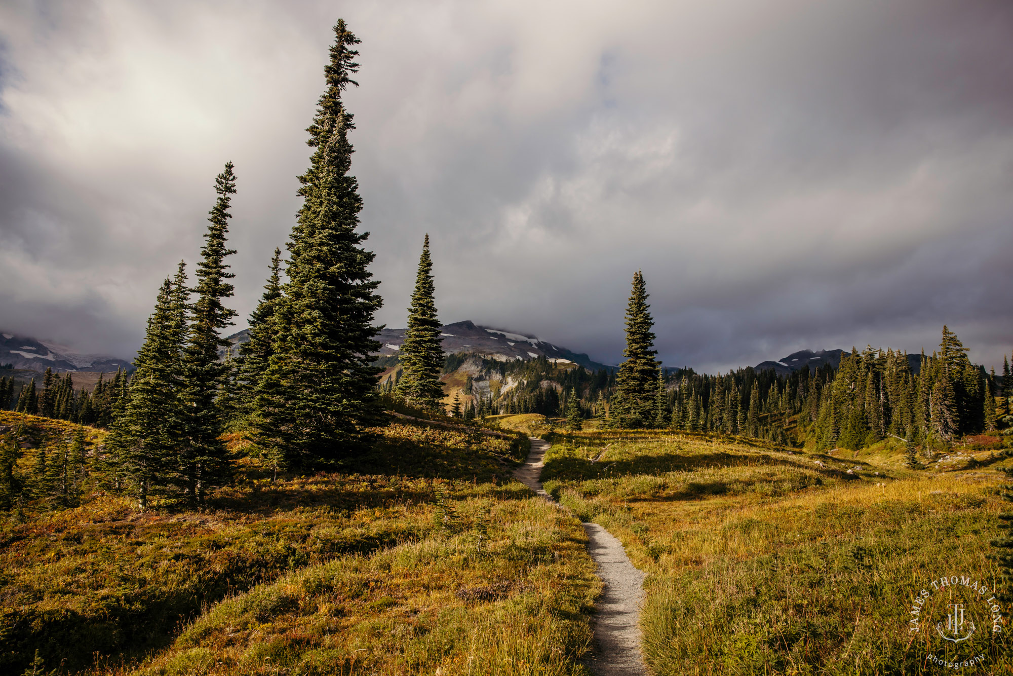 Mount Rainier post wedding session by Seattle wedding photographer James Thomas Long Photography