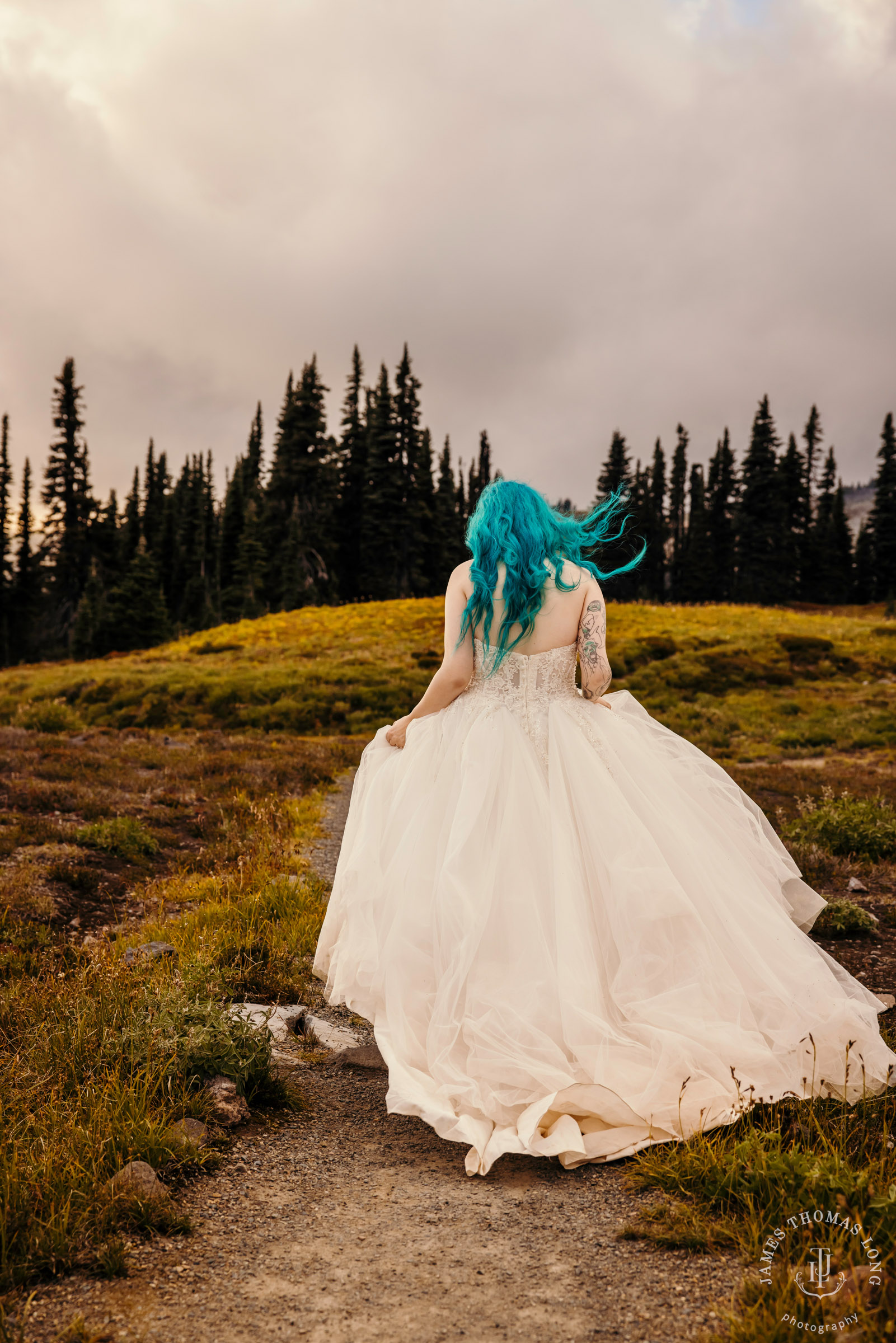 Mount Rainier post wedding session by Seattle wedding photographer James Thomas Long Photography