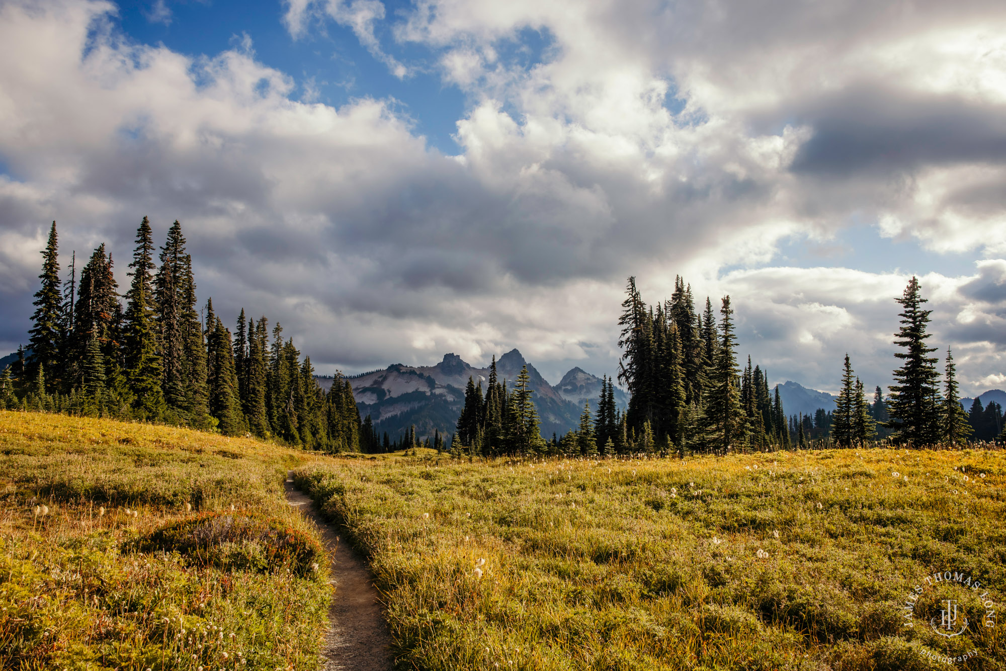 Mount Rainier post wedding session by Seattle wedding photographer James Thomas Long Photography