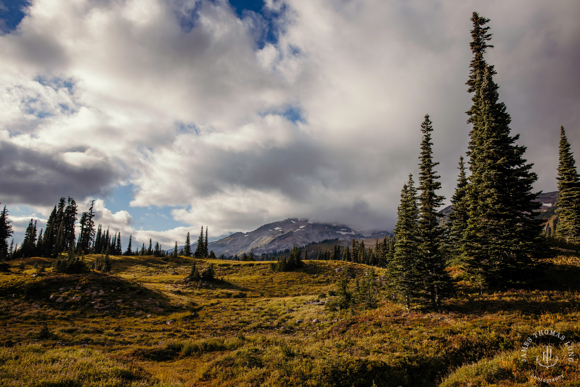 Mount Rainier post wedding session by Seattle wedding photographer James Thomas Long Photography