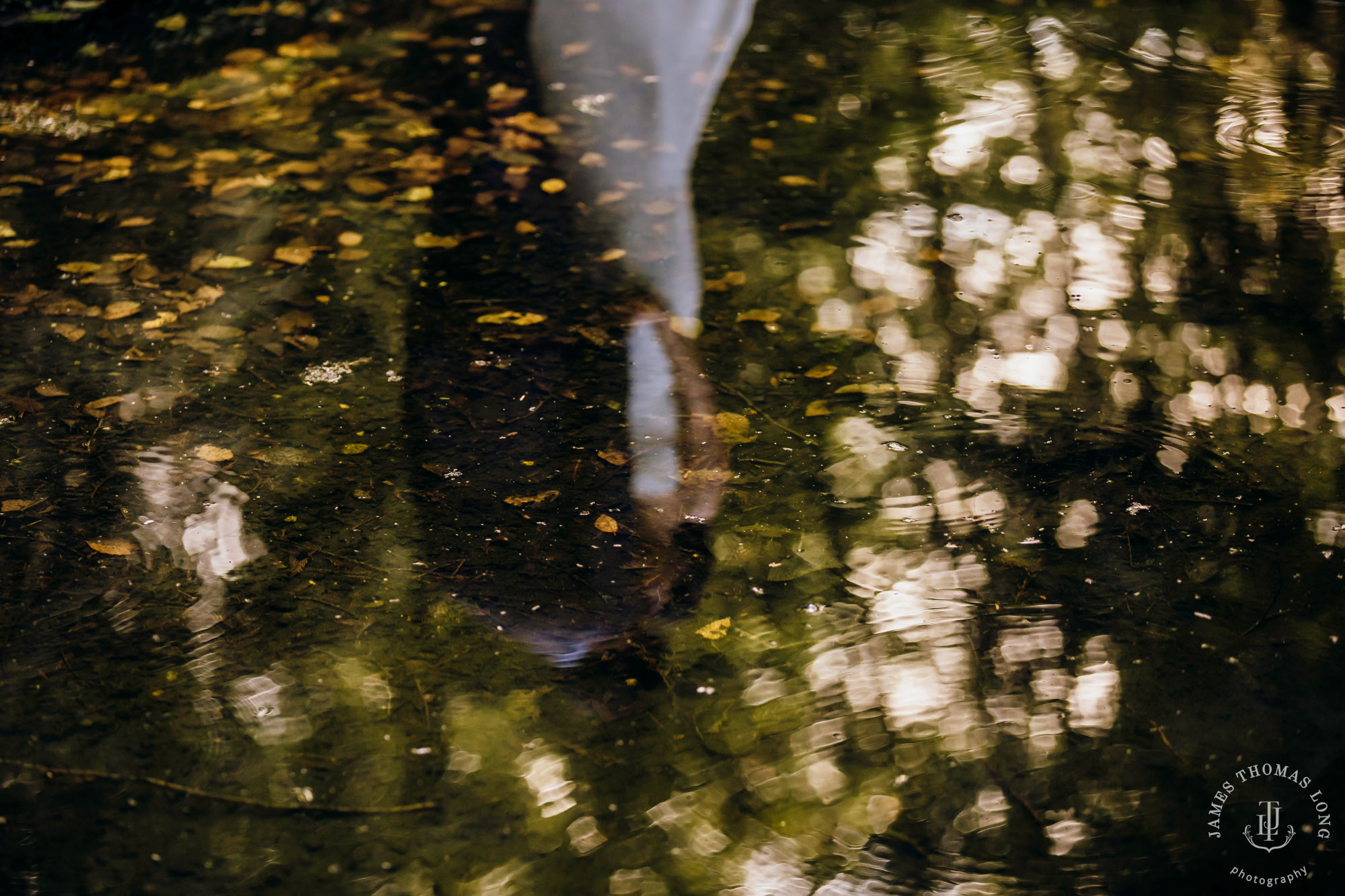 Bloedel Reserve Bainbridge Island wedding by Seattle wedding photographer James Thomas Long Photography