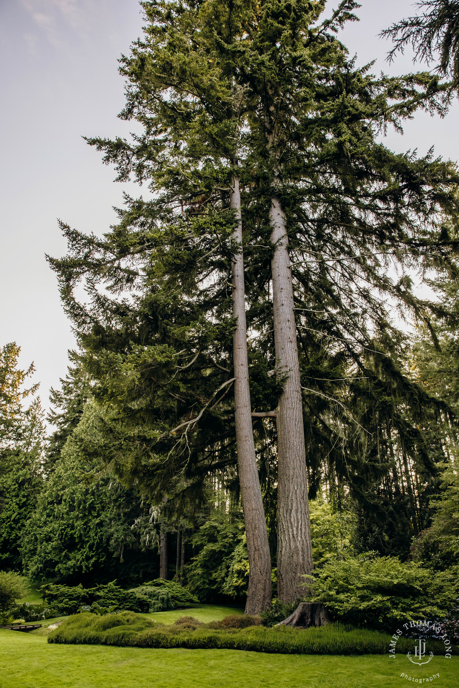 Bloedel Reserve Bainbridge Island wedding by Seattle wedding photographer James Thomas Long Photography