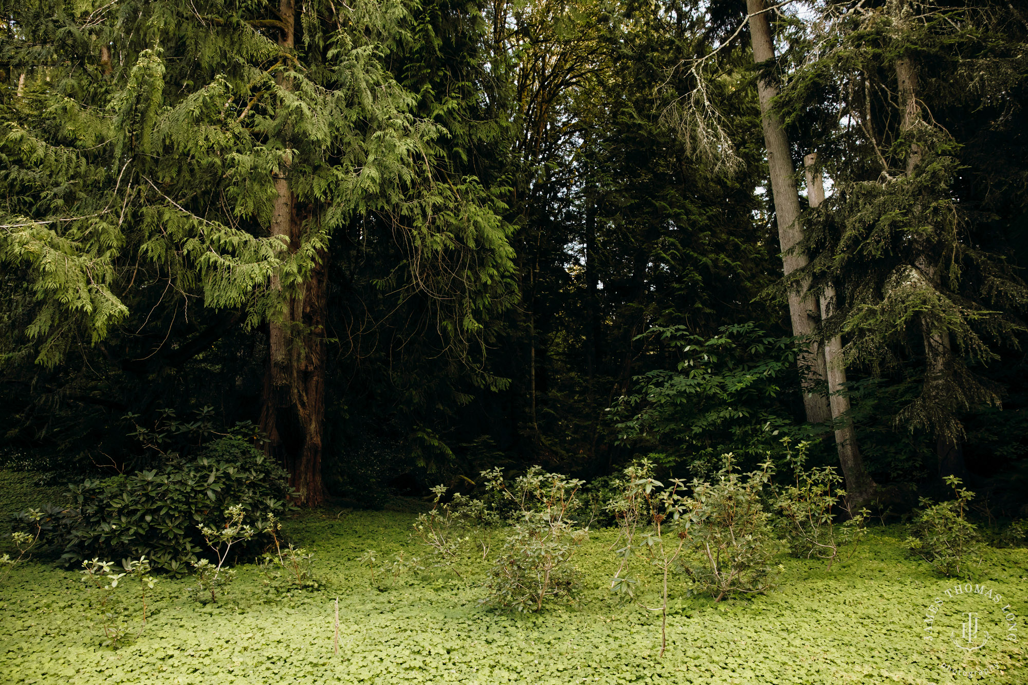 Bloedel Reserve Bainbridge Island wedding by Seattle wedding photographer James Thomas Long Photography