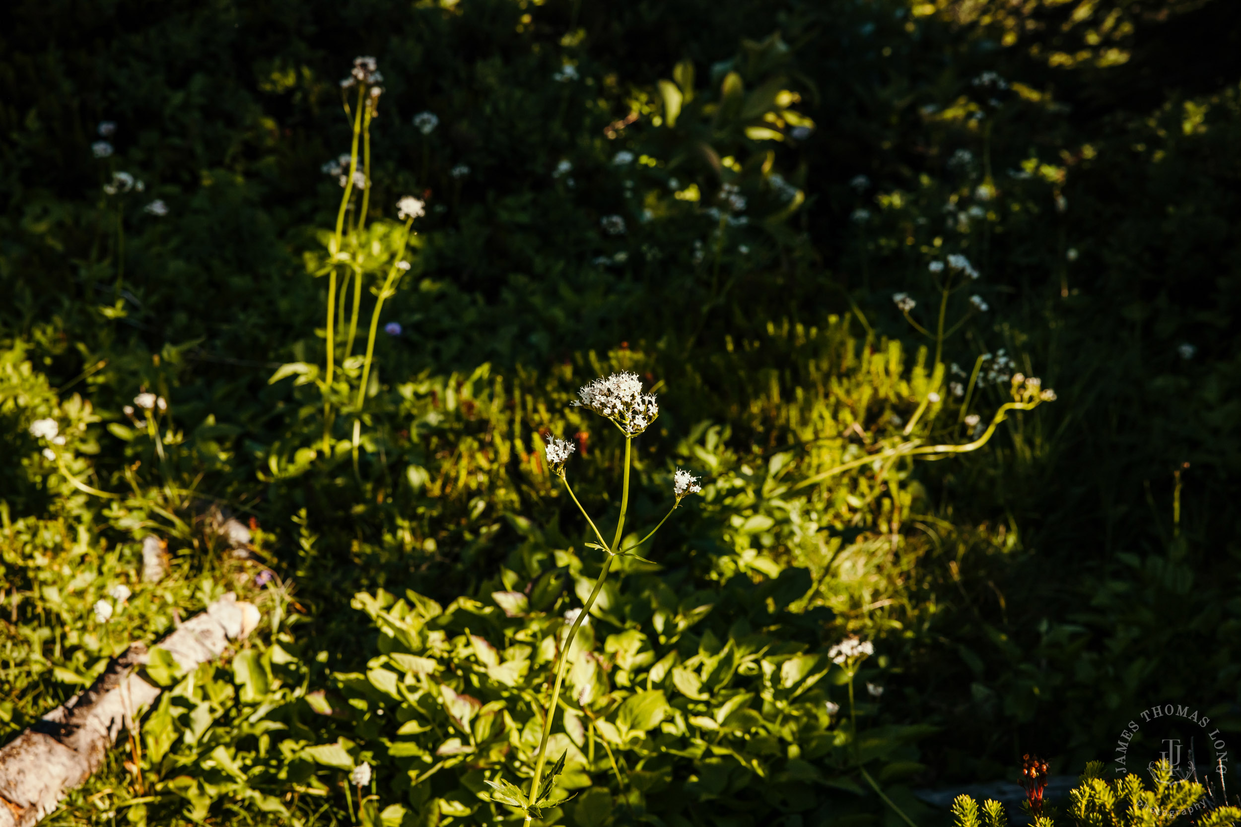 Mount Rainier adventure engagement session by Seattle adventure elopement photographer James Thomas Long Photography