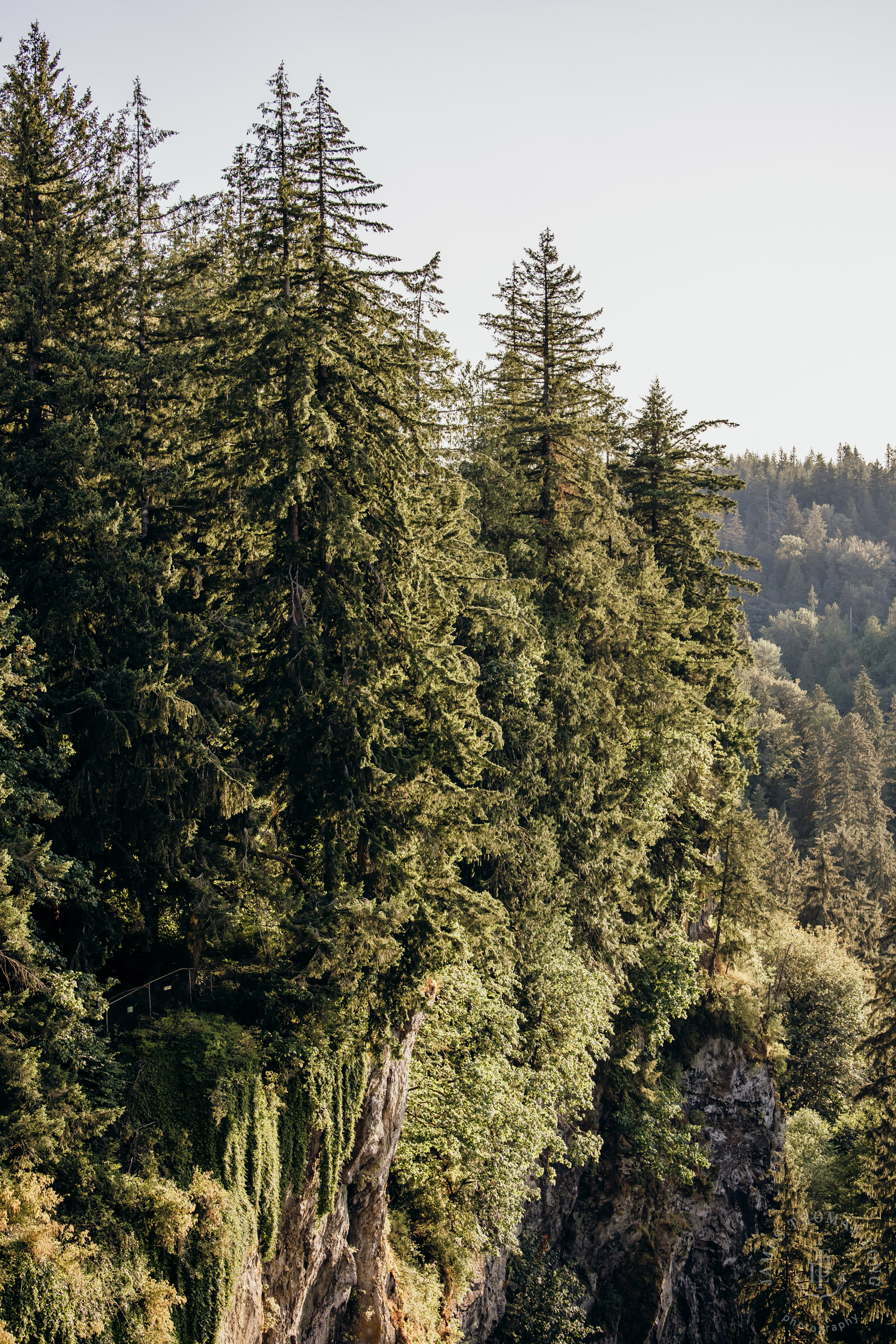 Salish Lodge & Spa Snoqualmie intimate wedding by Snoqualmie wedding photographer James Thomas Long Photography