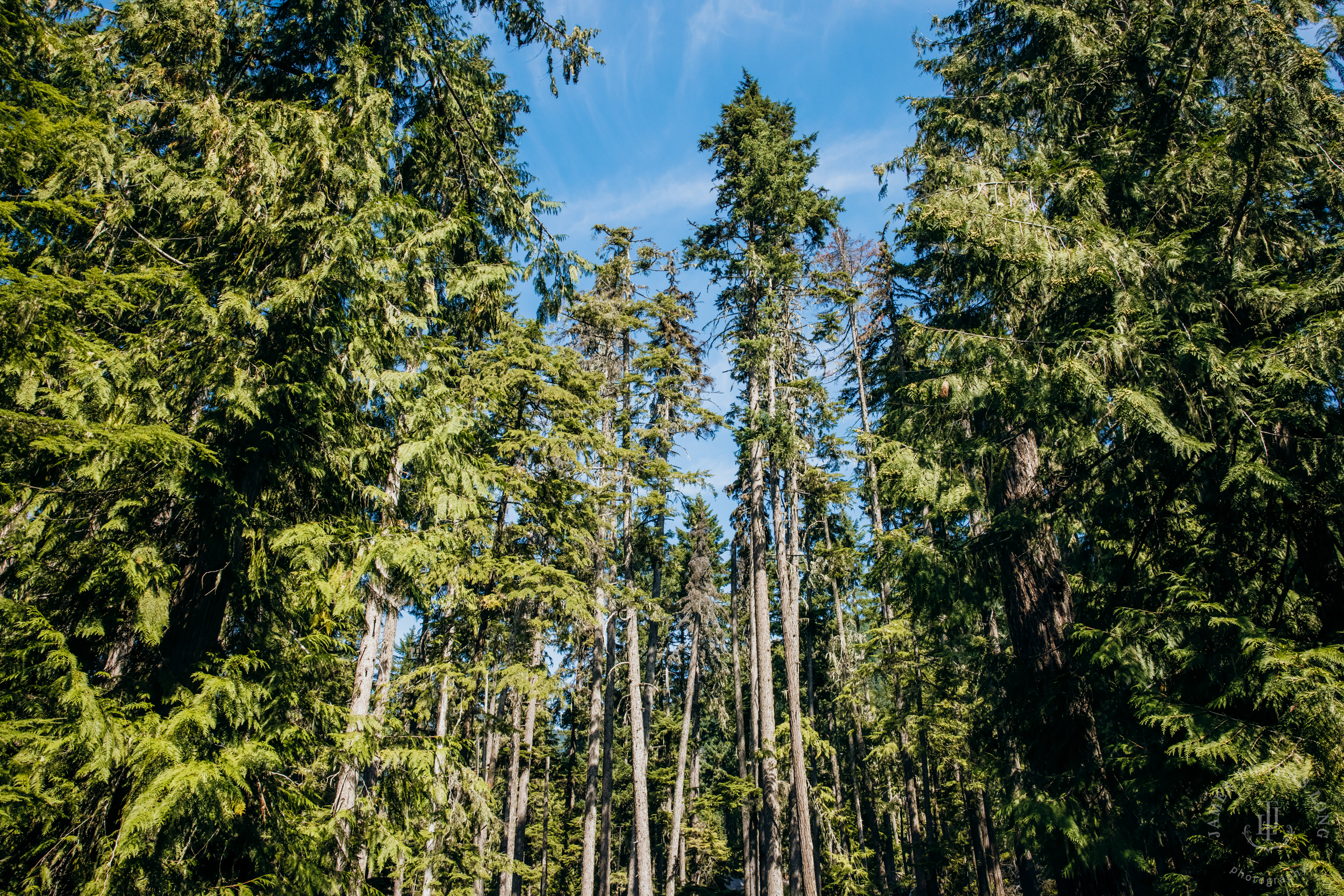 Crystal Mountain, WA wedding by Seattle wedding photographer James Thomas Long Photography