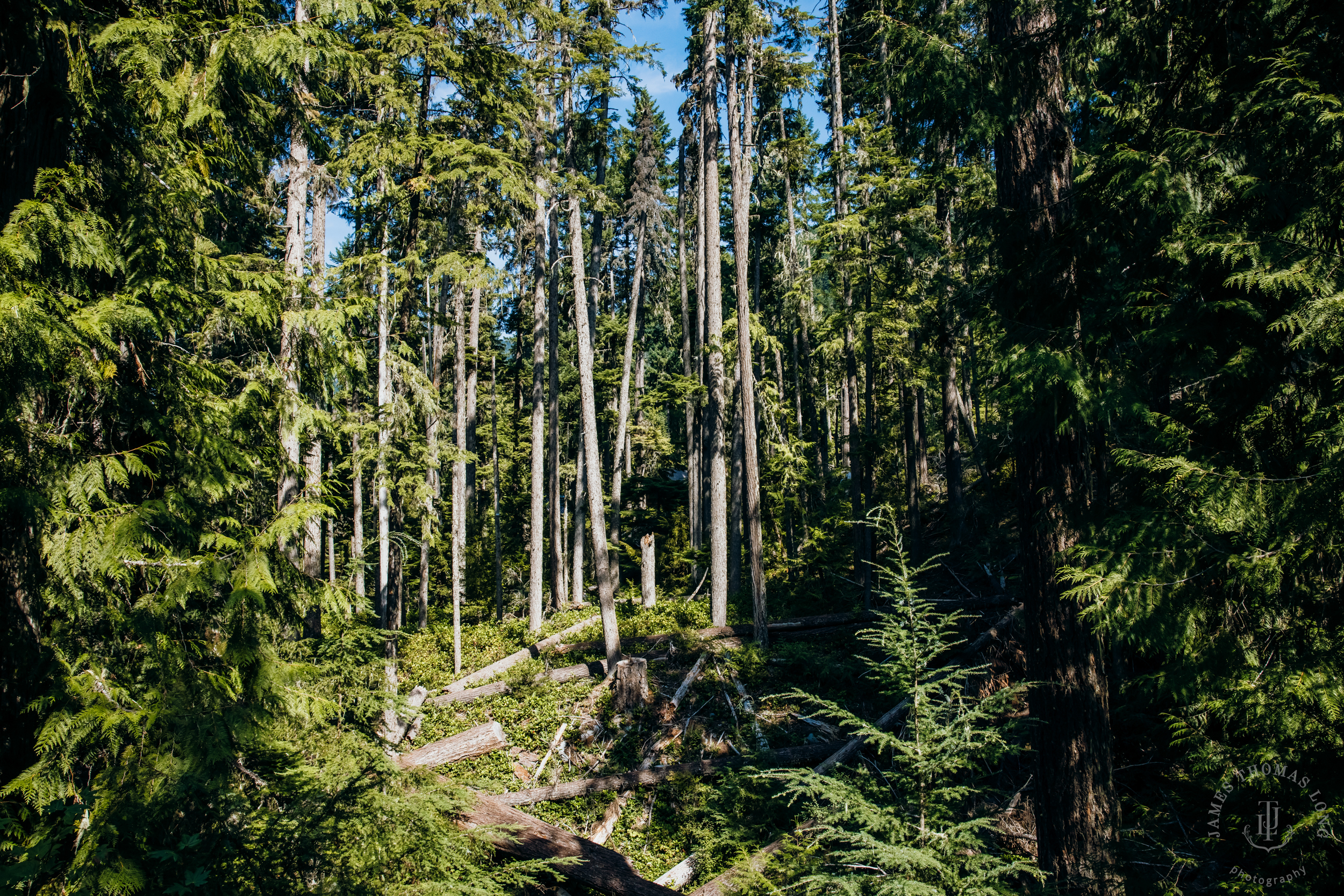 Crystal Mountain, WA wedding by Seattle wedding photographer James Thomas Long Photography