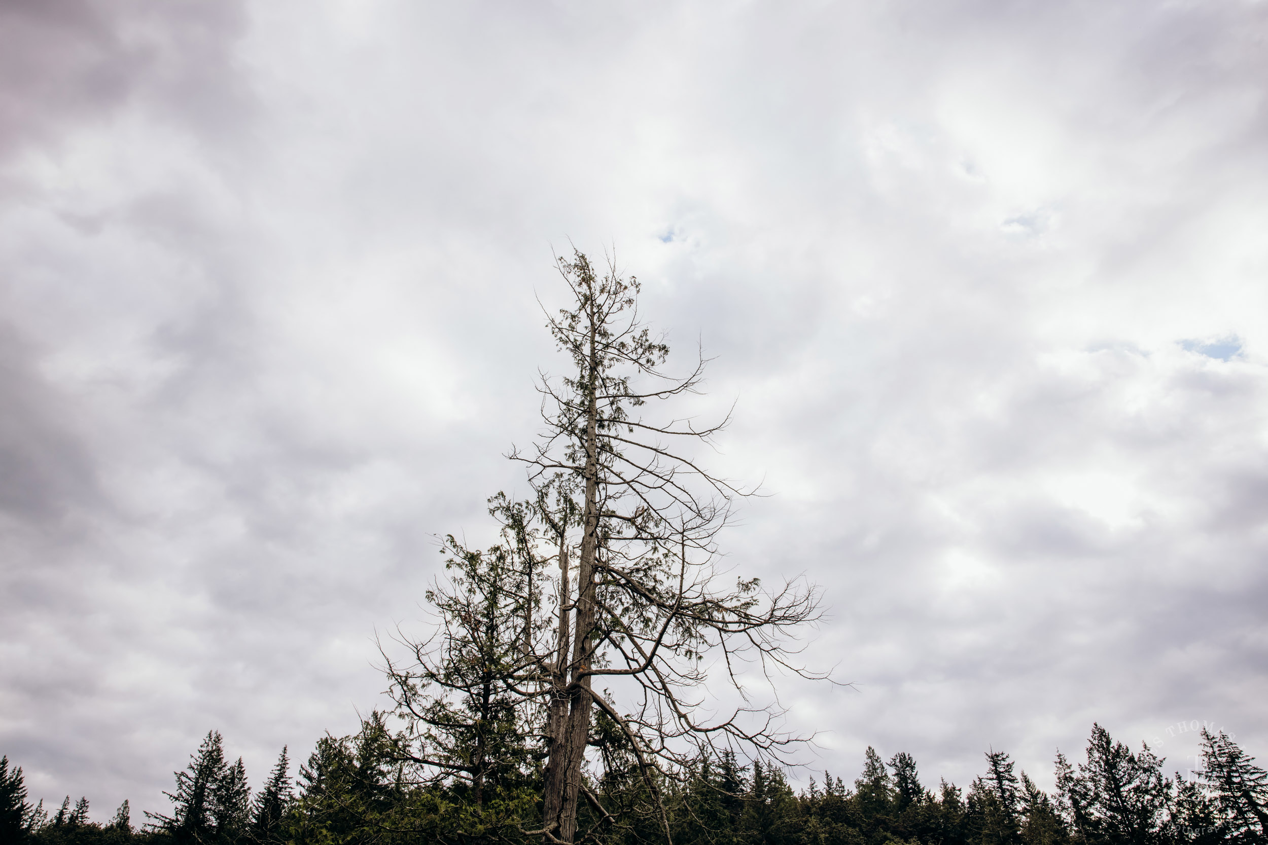 Salish Lodge Snoqualmie Falls wedding by Snoqualmie wedding photographer James Thomas Long Photography