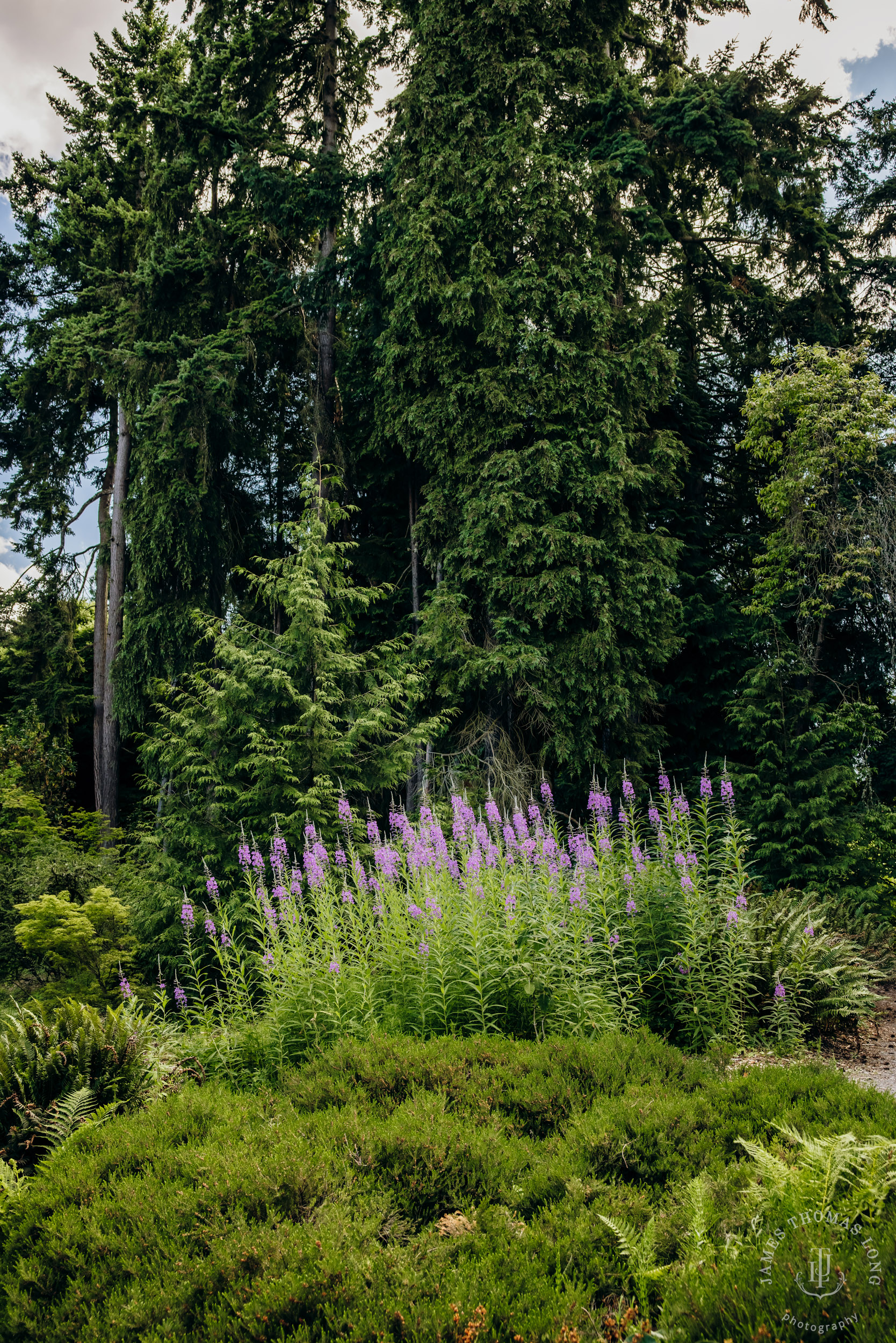 Wisteria Hall Washington Arboretum and Conibear Shellhouse wedding by Seattle wedding photographer James Thomas Long Photography