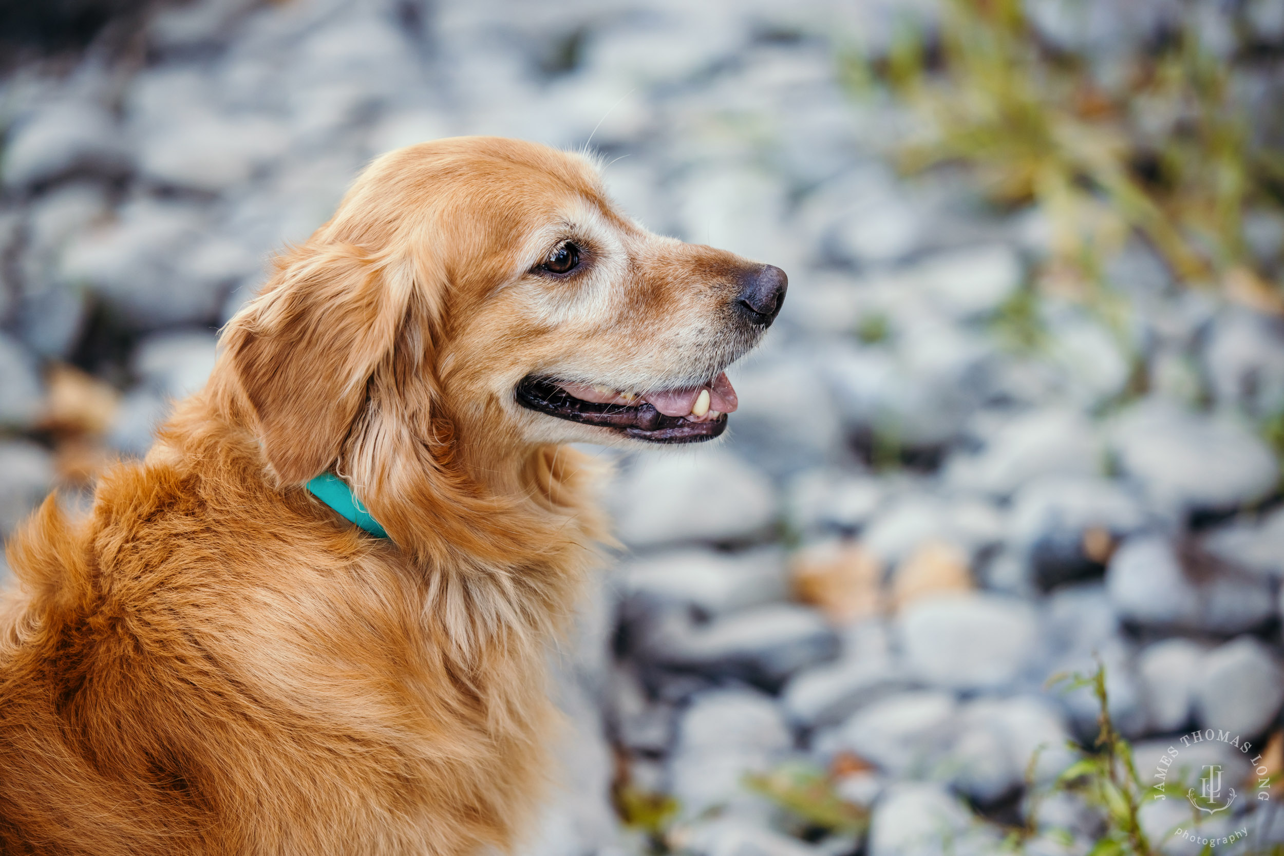 Carnation family photography session by Snoqualmie family photographer James Thomas Long Photography
