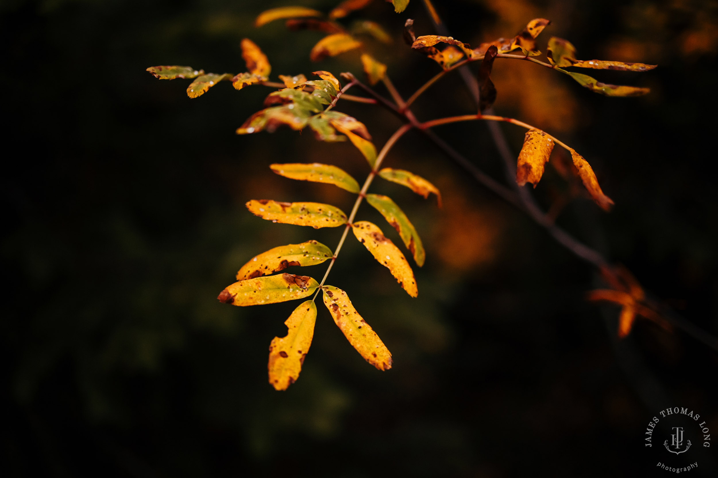 Cascade Mountain adventure engagement by Seattle adventure wedding and elopement photographer James Thomas Long Photography