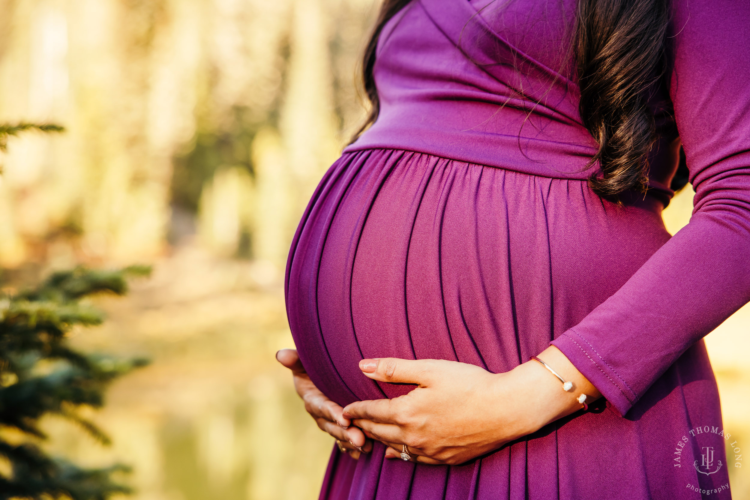 Mount Rainier maternity session by Seattle family photographer James Thomas Long Photography