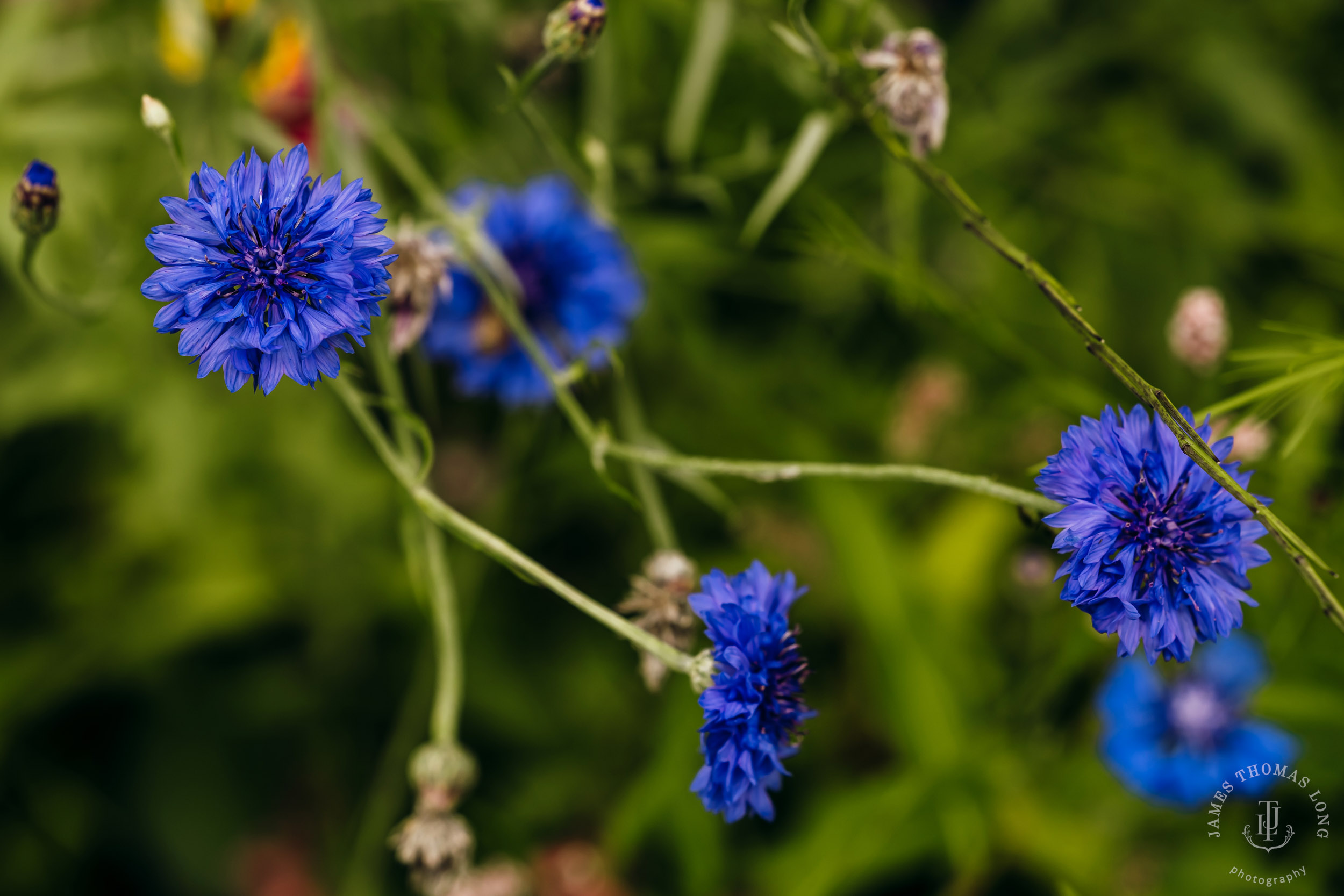 North Fork Farm Events Snoqualmie wedding by Snoqualmie wedding photographer James Thomas Long Photography
