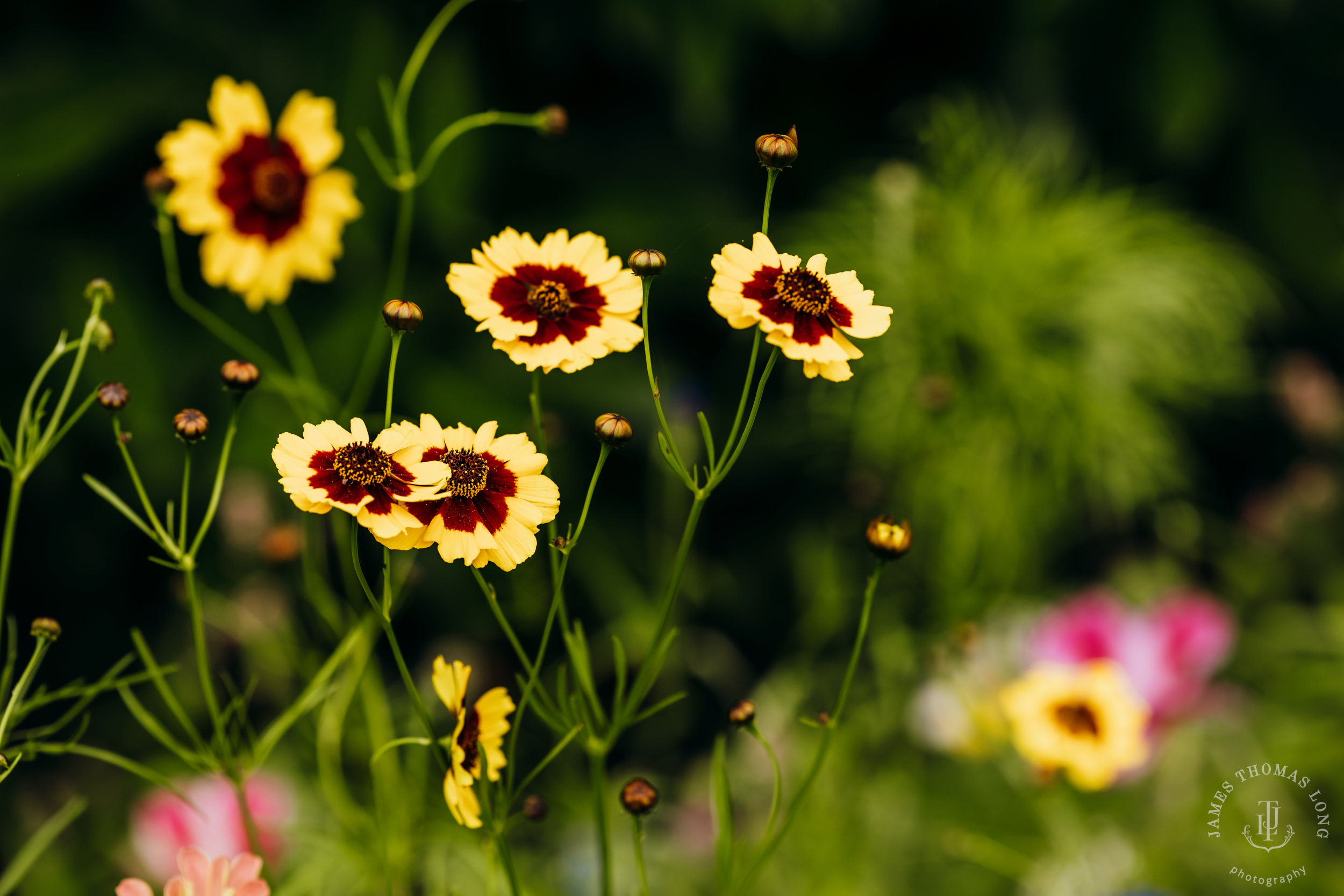North Fork Farm Events Snoqualmie wedding by Snoqualmie wedding photographer James Thomas Long Photography