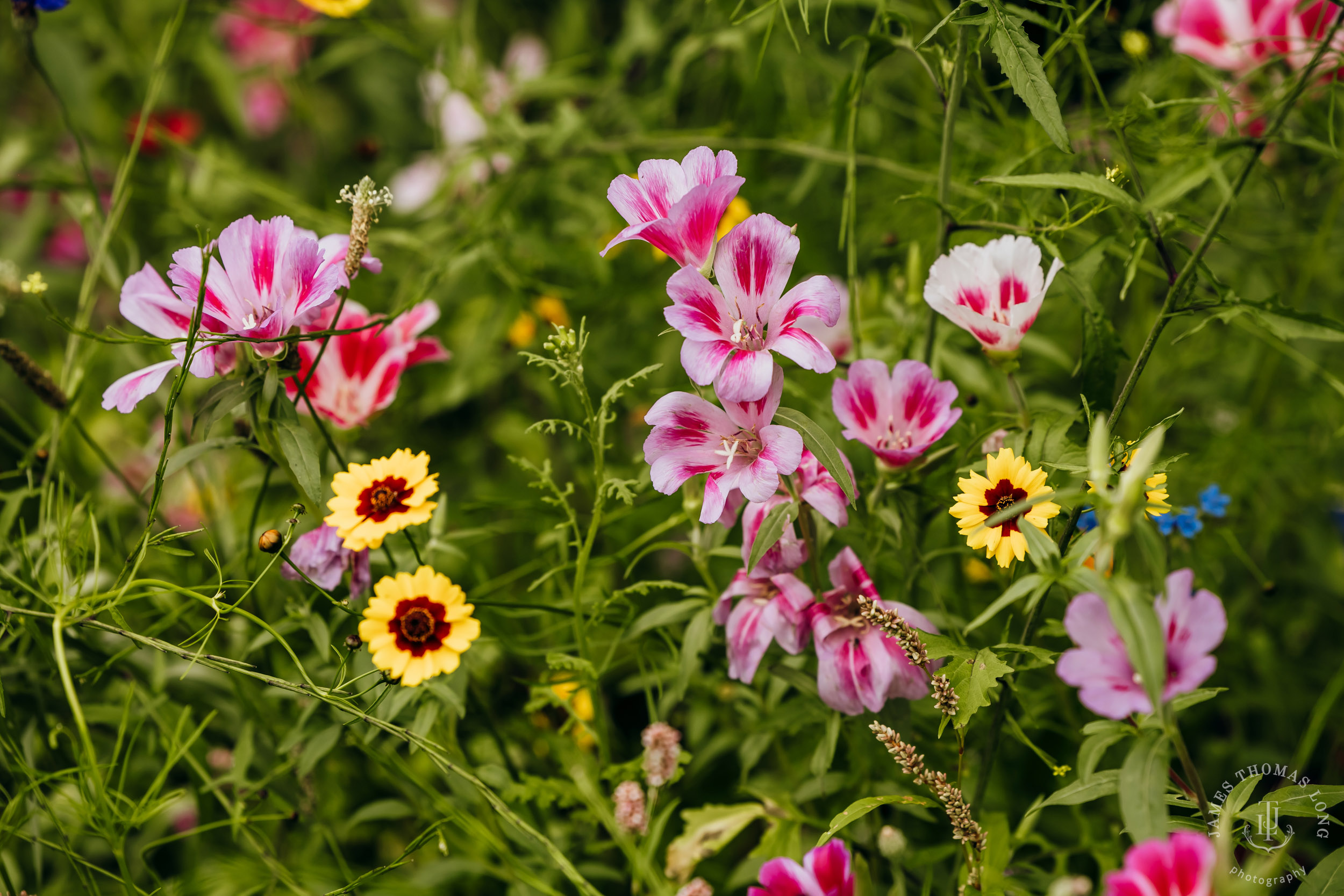 North Fork Farm Events Snoqualmie wedding by Snoqualmie wedding photographer James Thomas Long Photography