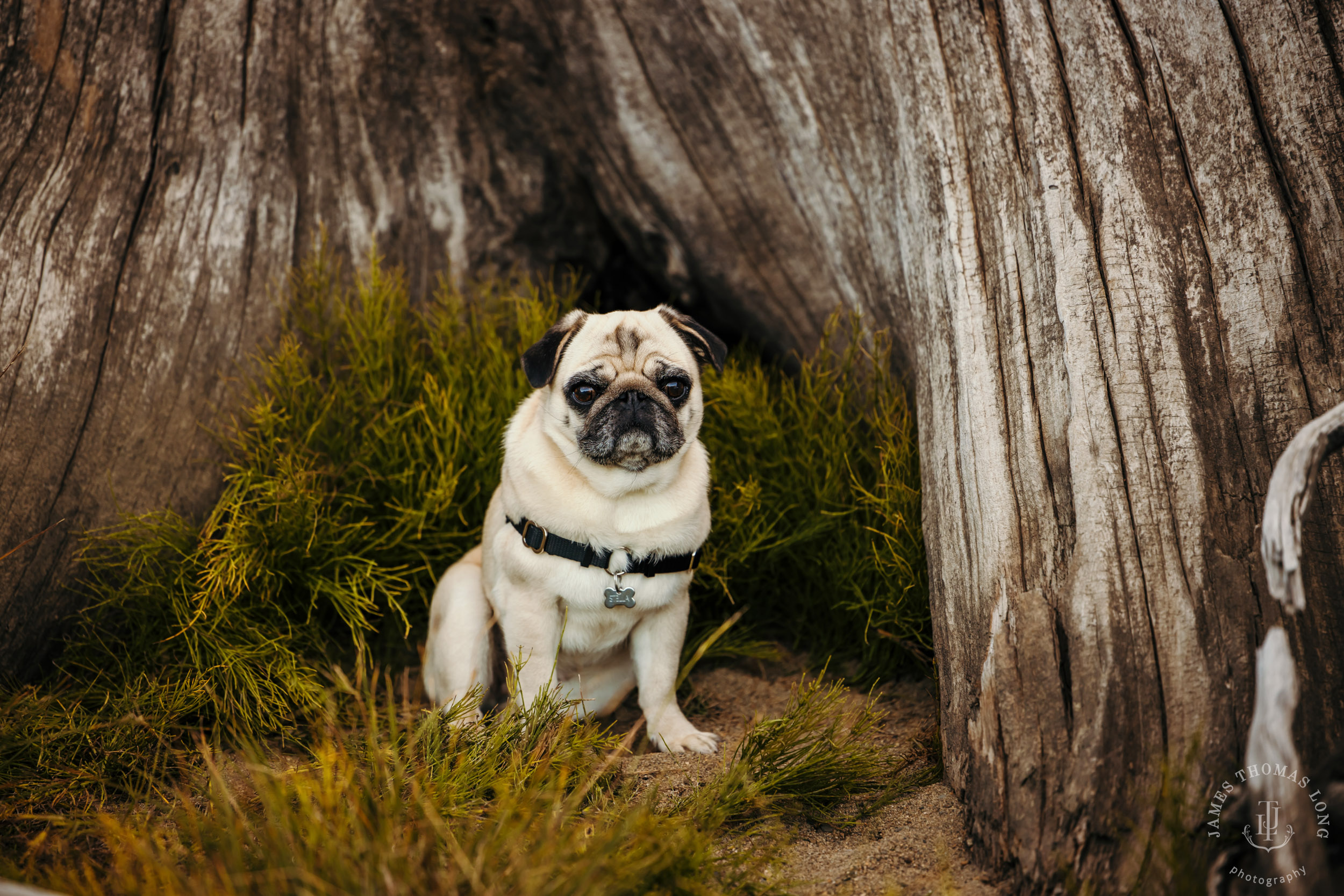 Cascade Mountain adventure family photography session by Snoqualmie family photographer James Thomas Long Photography