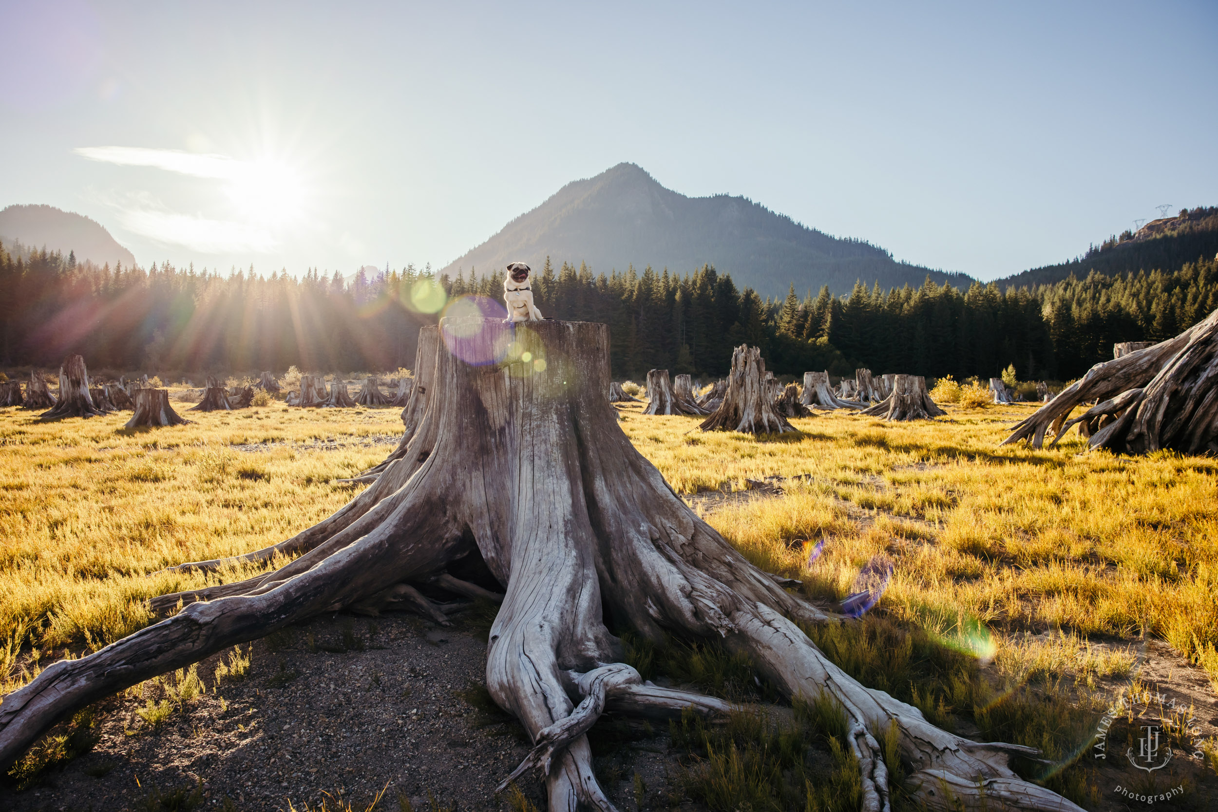Cascade Mountain adventure family photography session by Snoqualmie family photographer James Thomas Long Photography