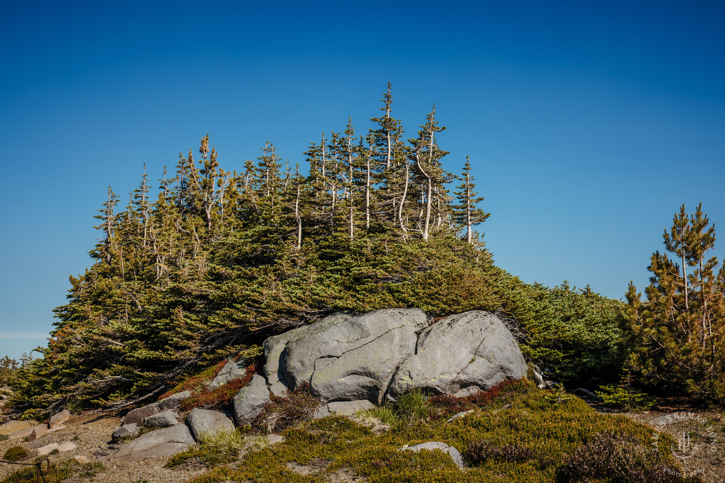Mount Rainier adventure engagement session by Seattle adventure elopement photographer James Thomas Long Photography