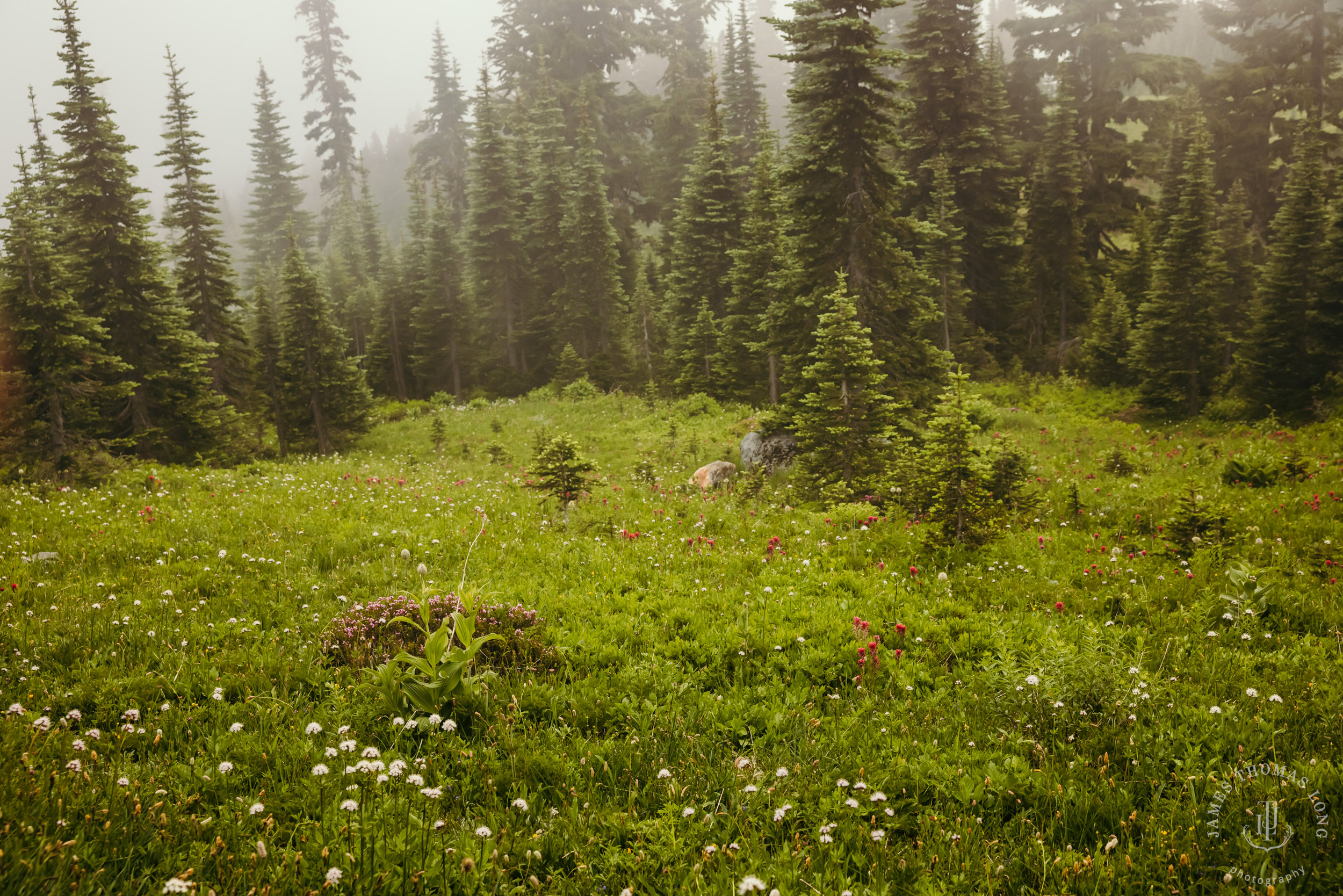 Mount Rainier family photography session by Seattle family photographer James Thomas Long Photography