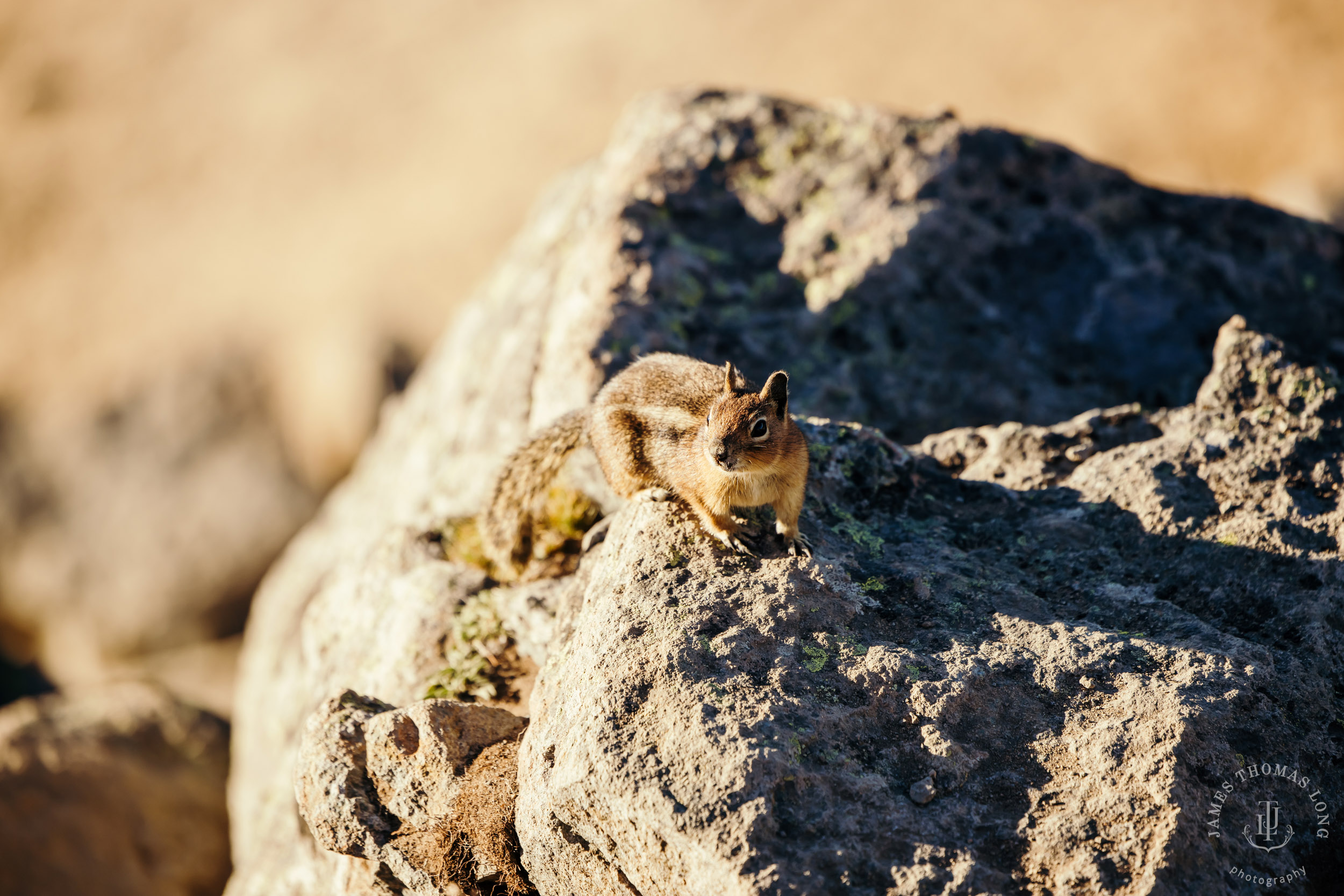 Mount Rainier adventure engagement by Seattle adventure wedding photographer James Thomas Long Photography