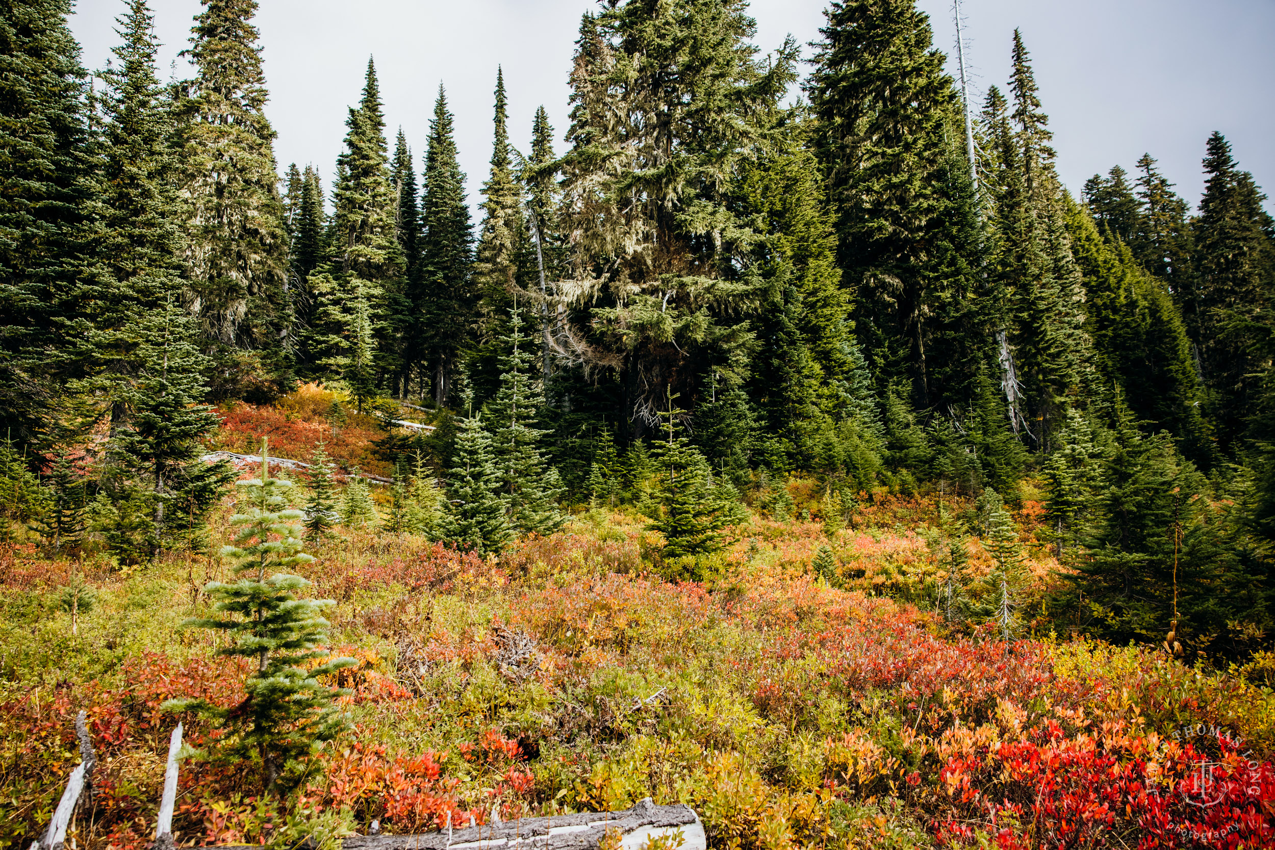Mount Rainier elopement by Seattle adventure wedding photographer James Thomas Long Photography